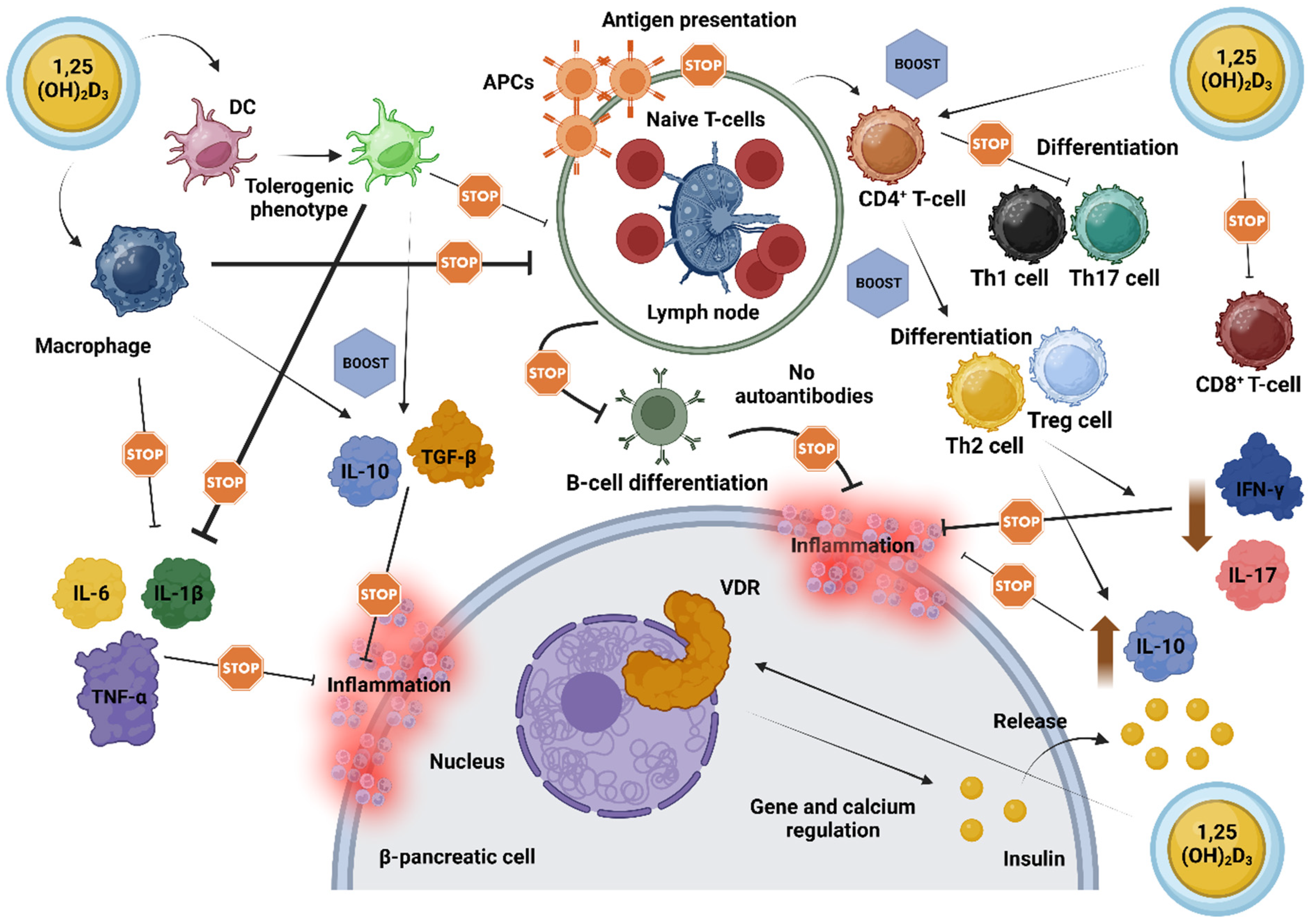 Nutrients 16 04072 g002