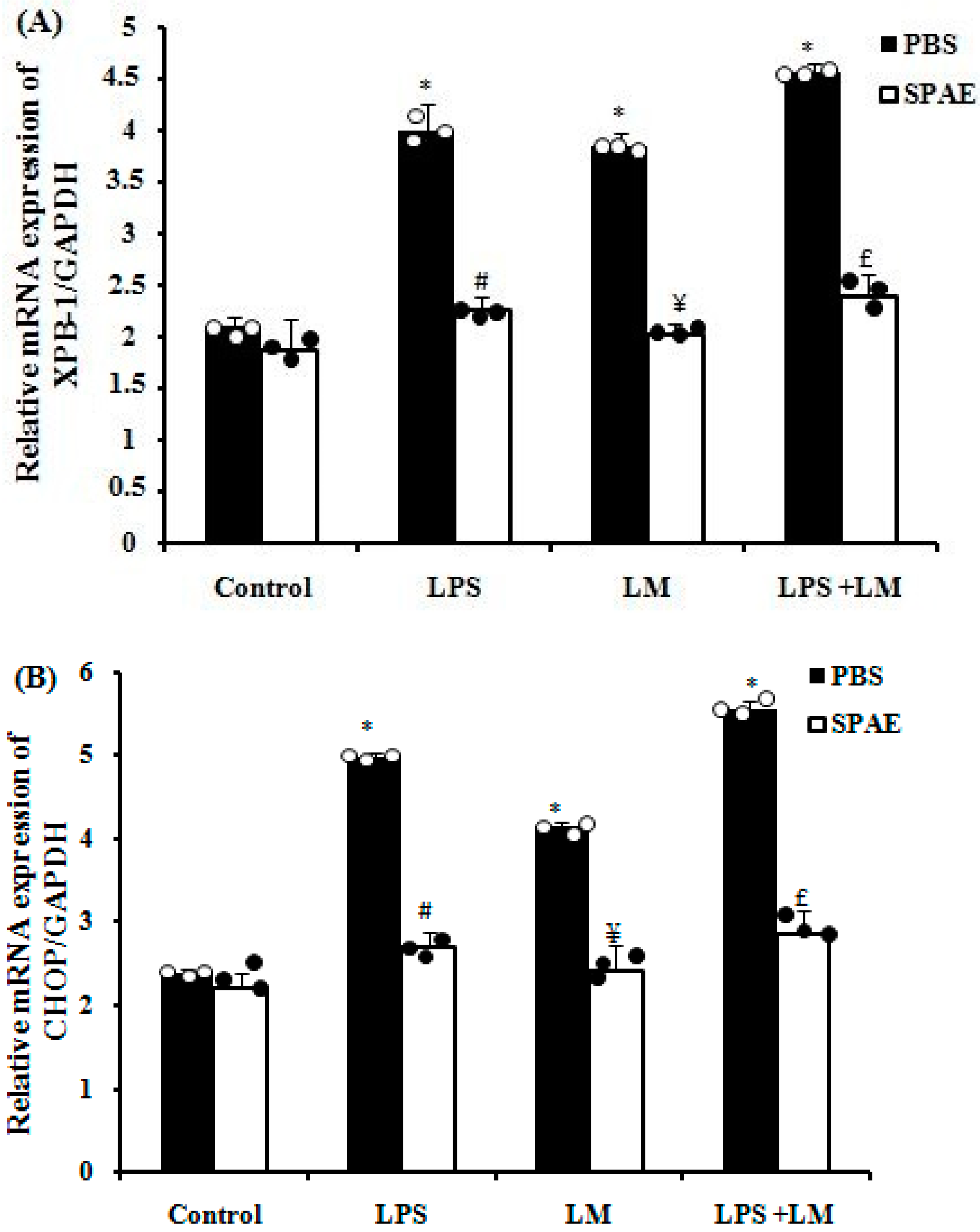 Nutrients 16 04074 g002
