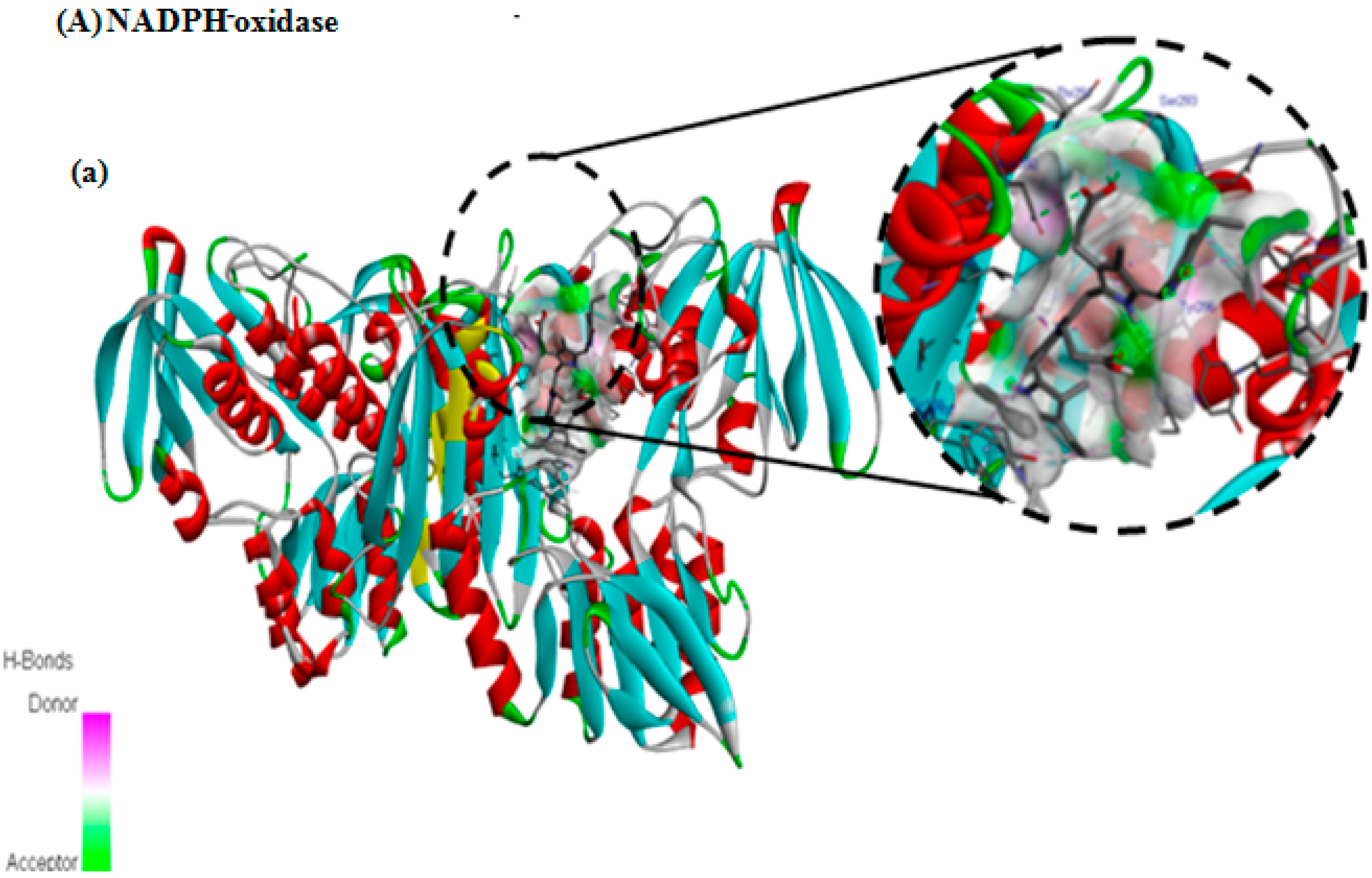 Nutrients 16 04074 g006a