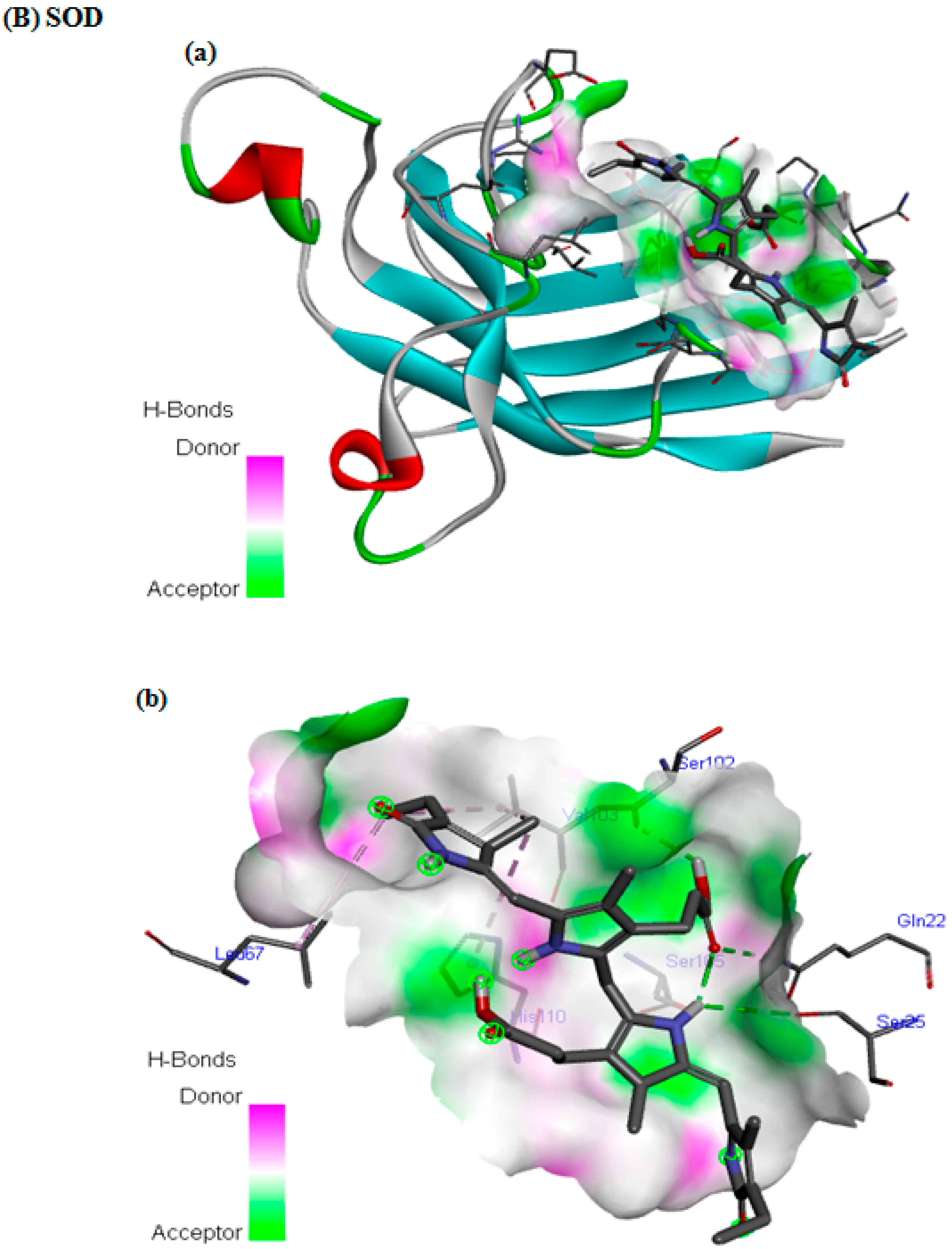 Nutrients 16 04074 g006c