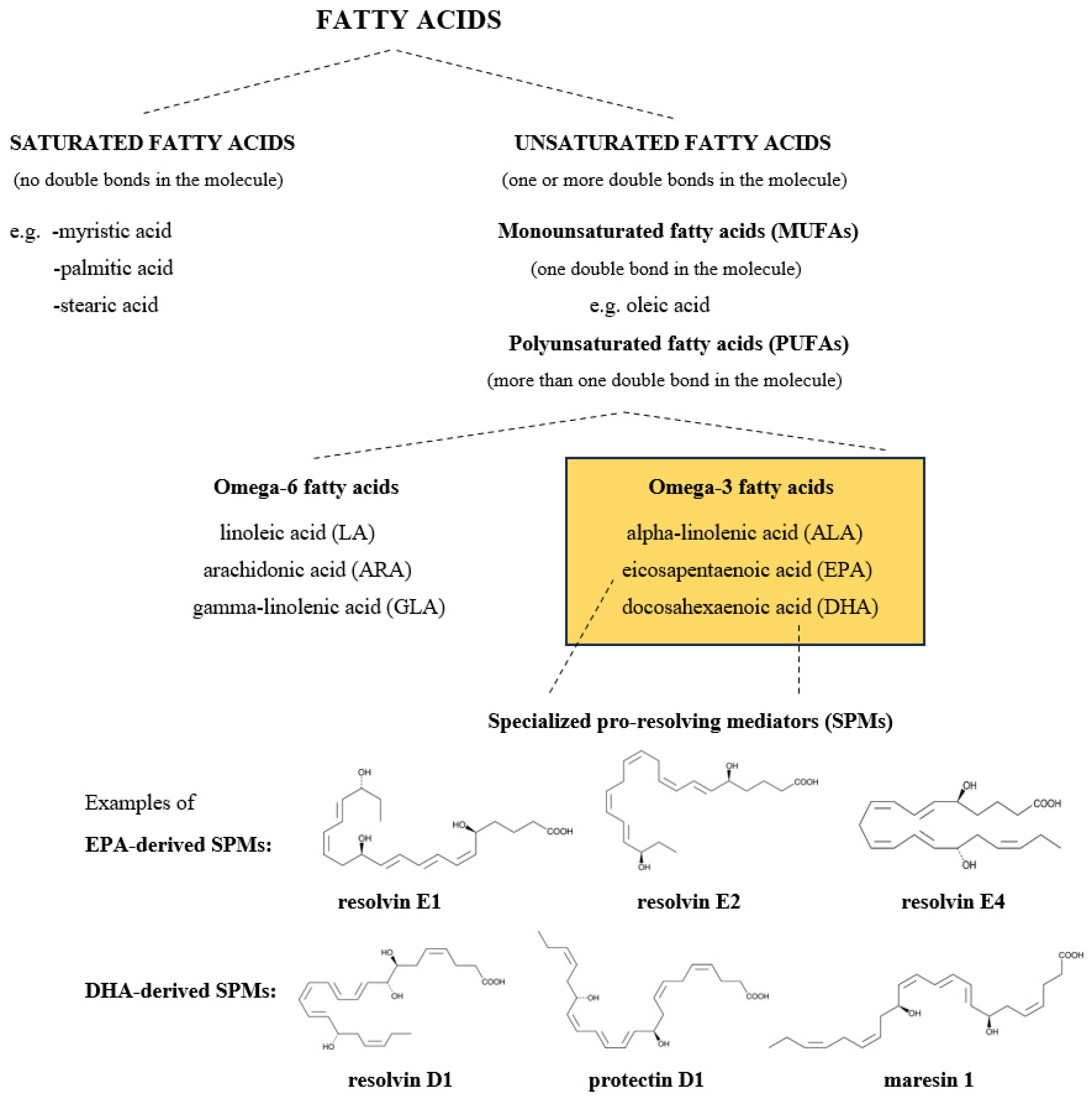 Nutrients 16 04075 g001 Nutrients 16 04075 g001