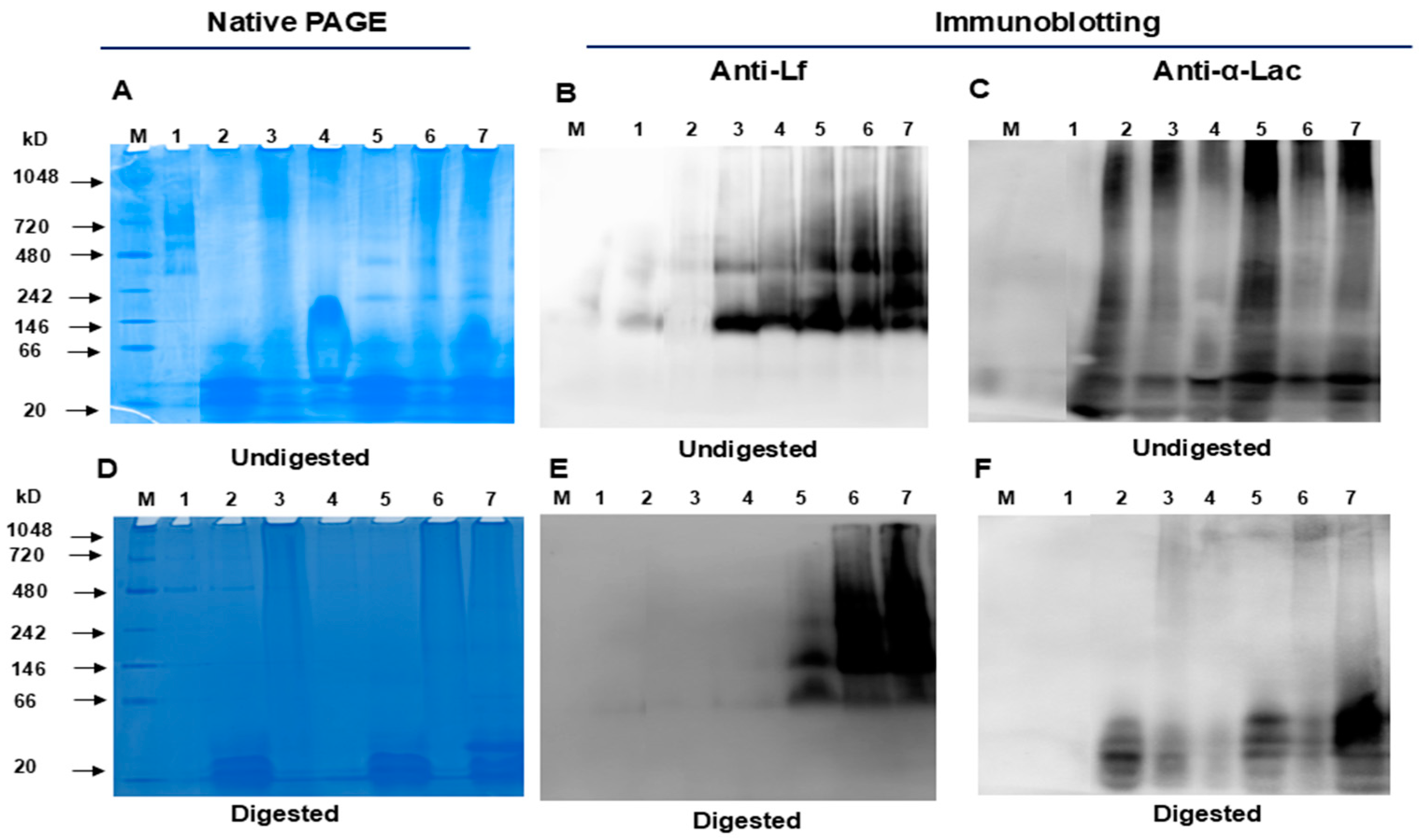 Nutrients 16 04077 g002