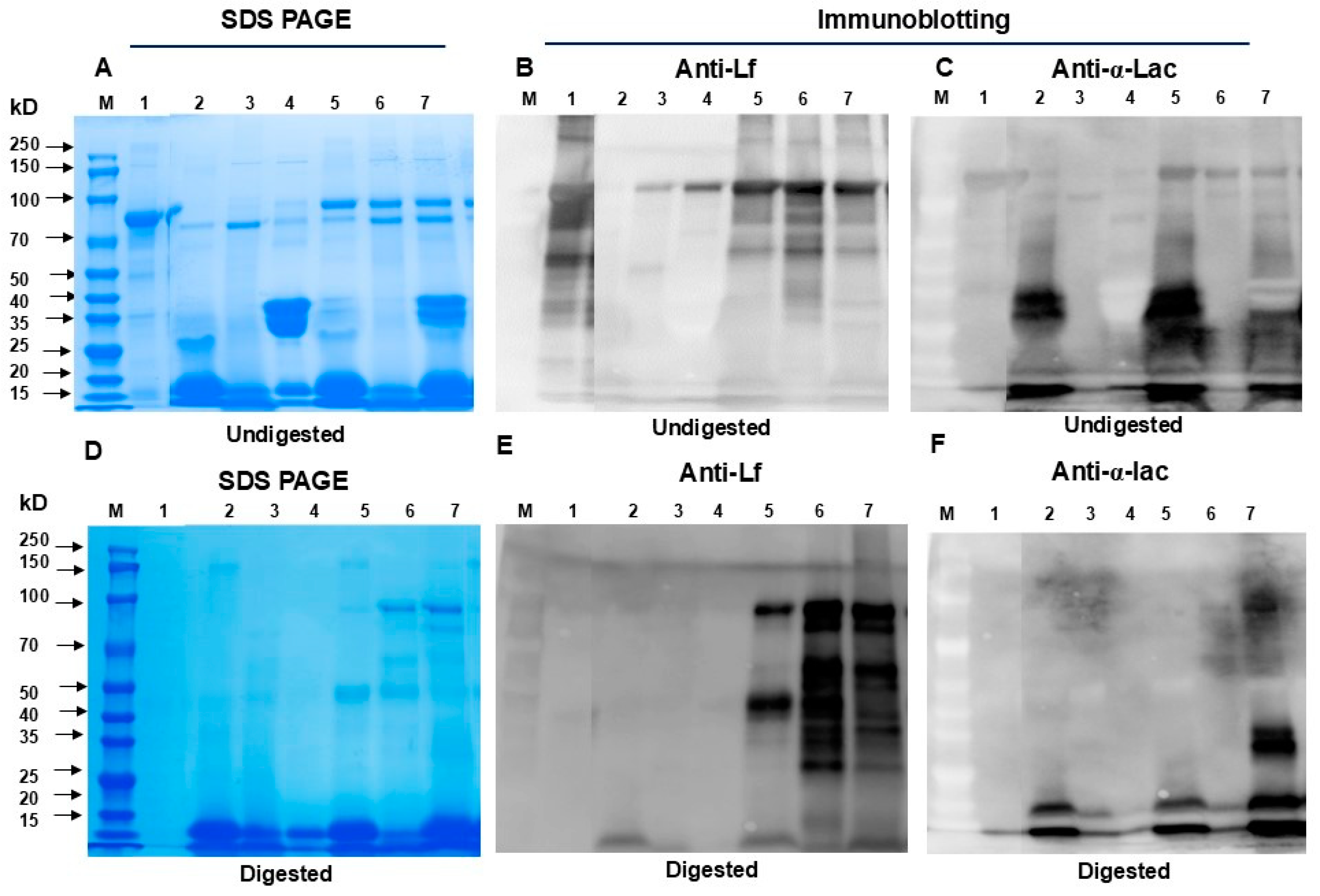 Nutrients 16 04077 g003
