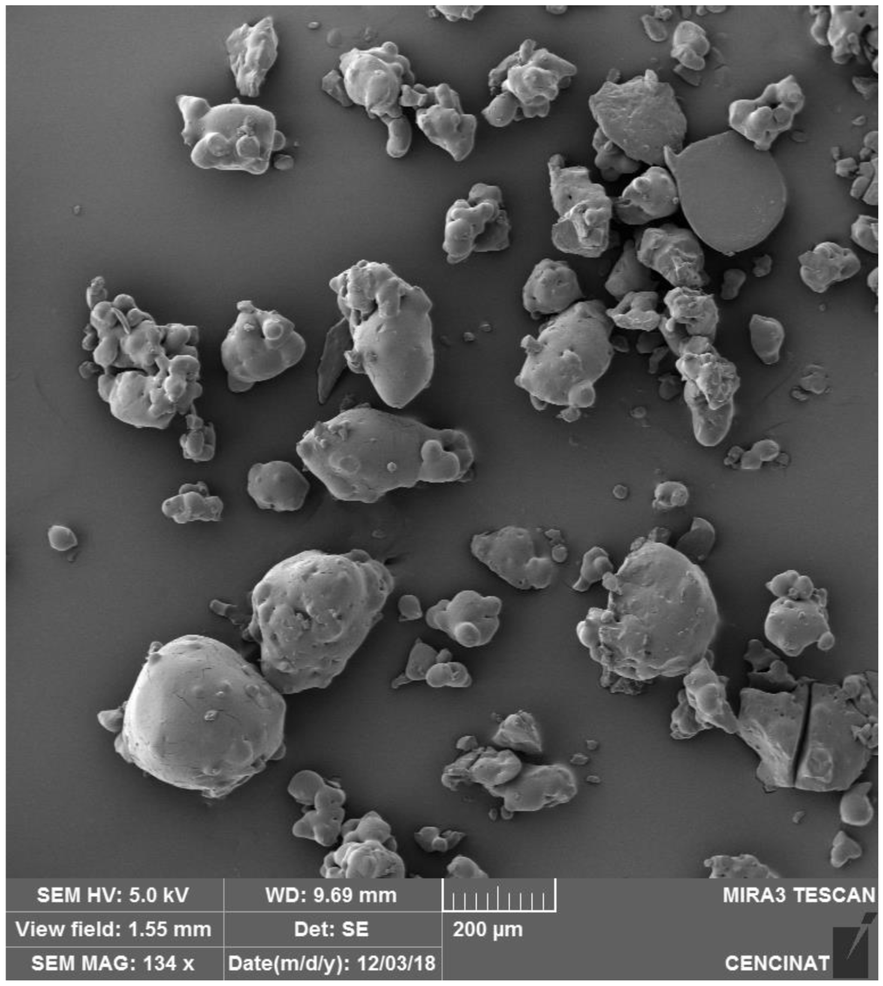 Nutrients 16 04078 g001