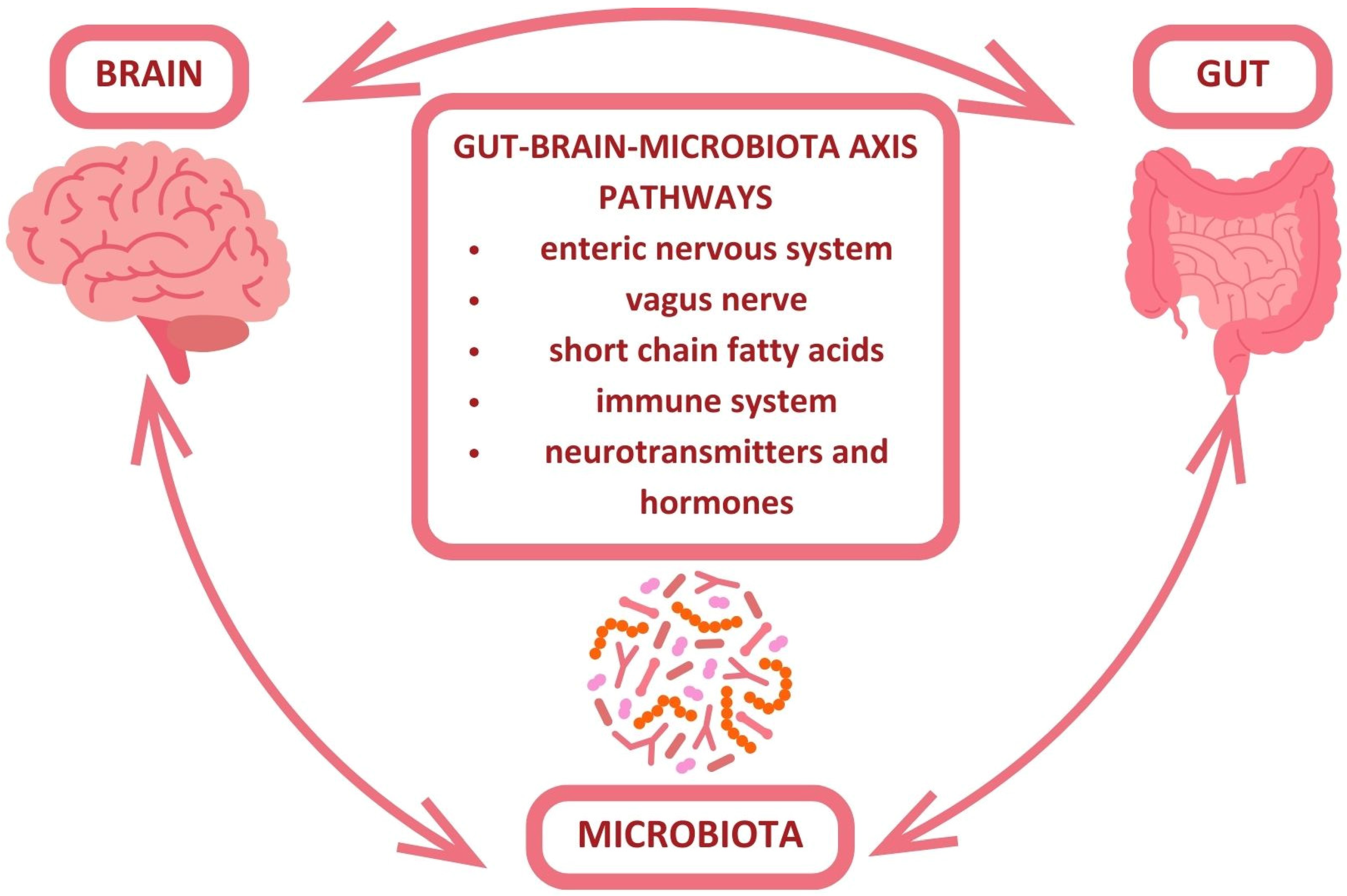 Nutrients 16 04079 g002