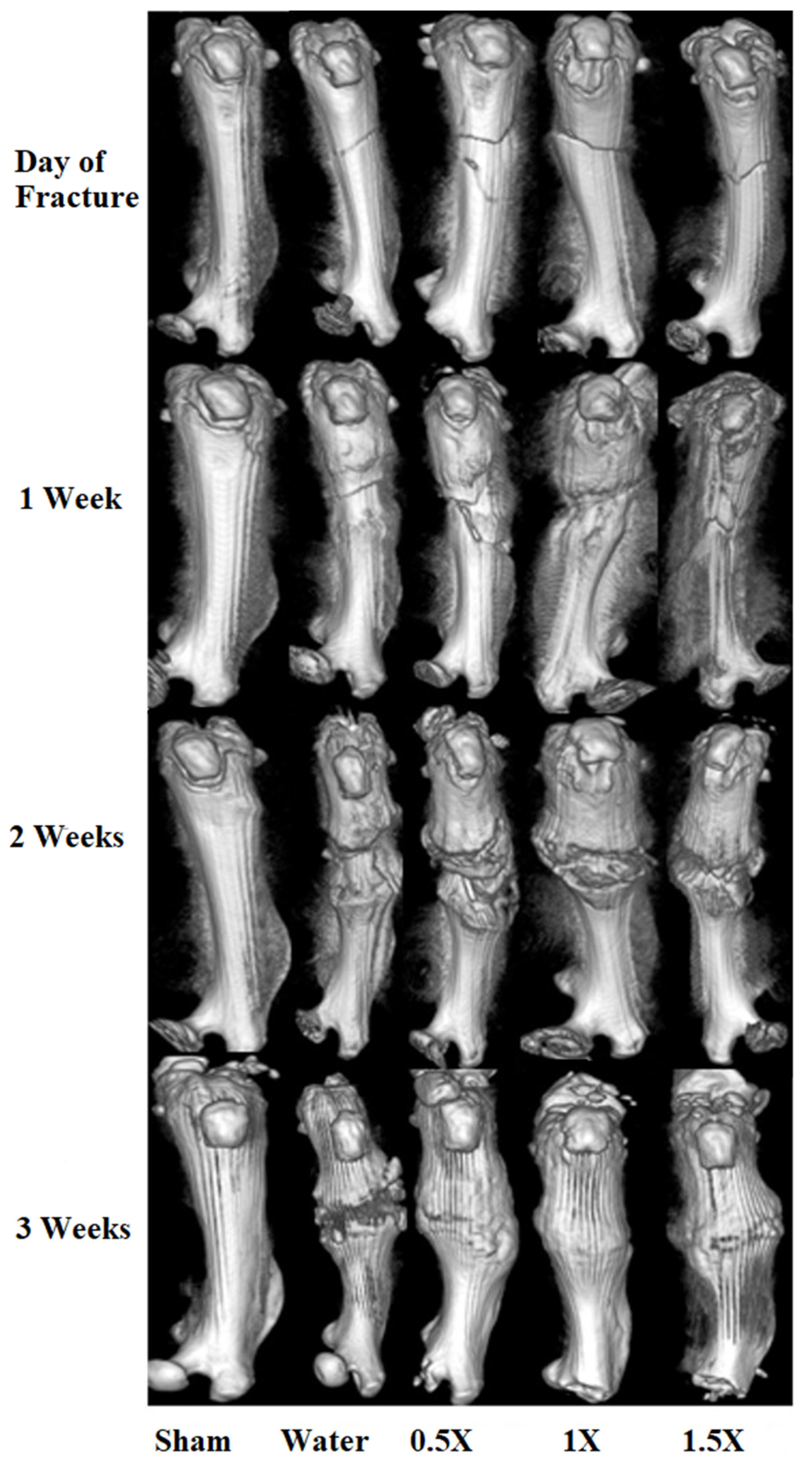 Nutrients 16 04089 g003