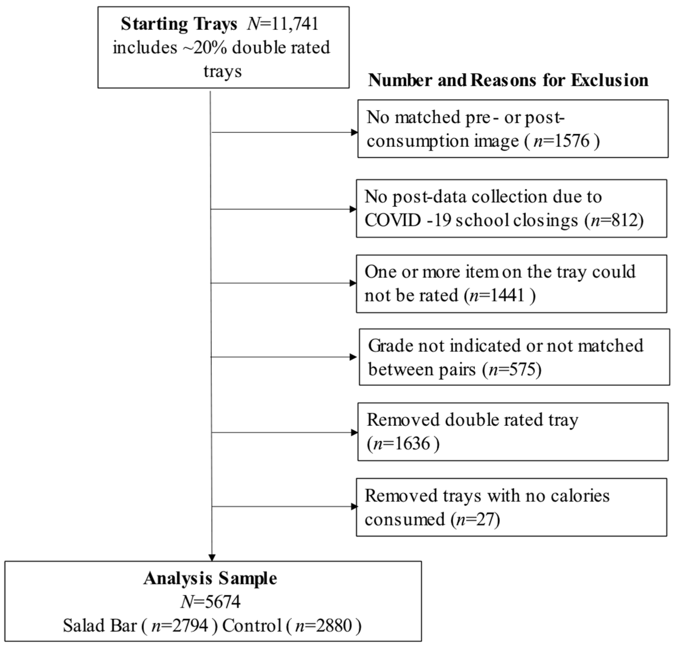 Nutrients 16 04102 g001