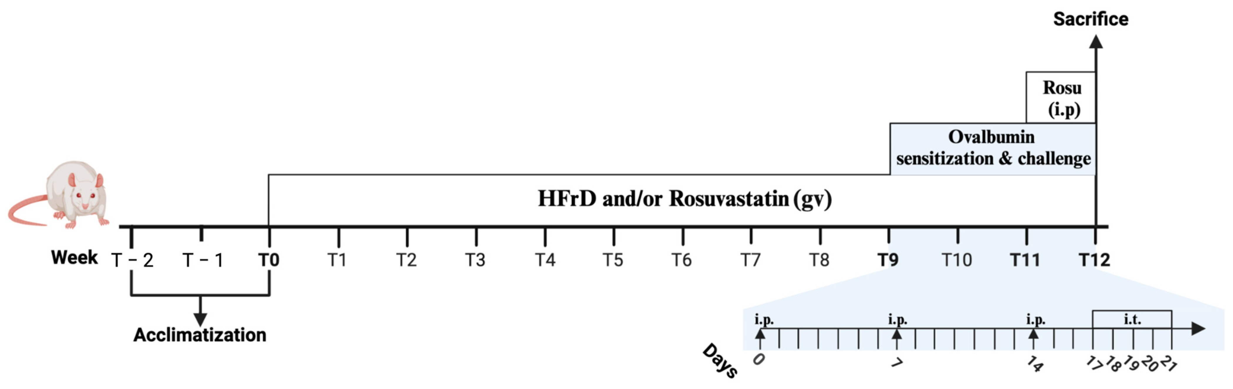 Nutrients 16 04104 g002 Nutrients 16 04104 g002