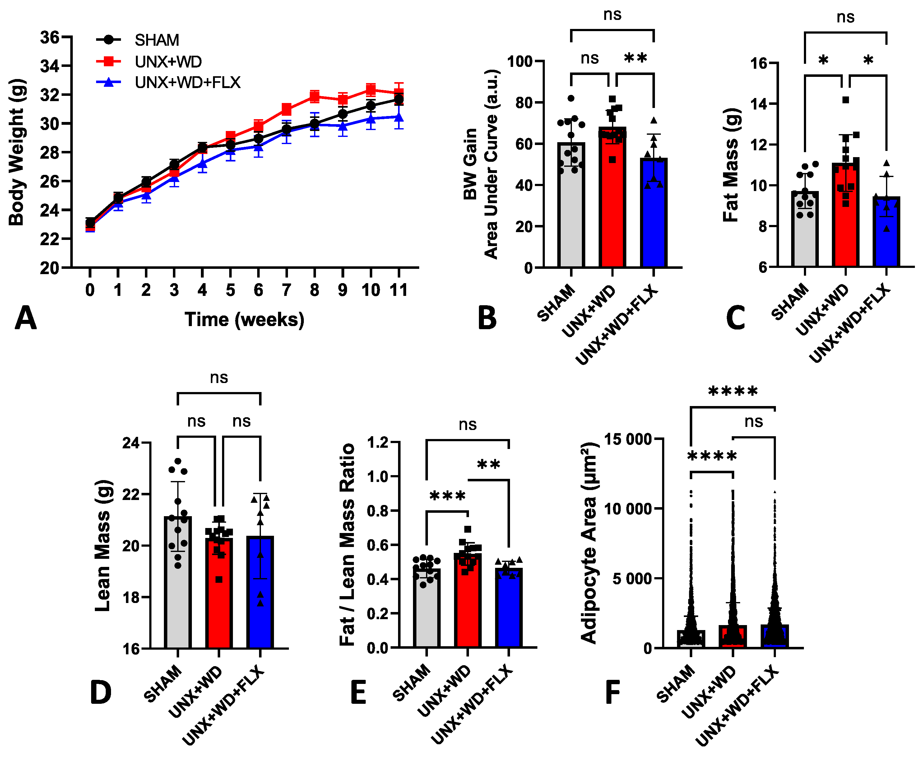 Nutrients 16 04105 g002 Nutrients 16 04105 g002