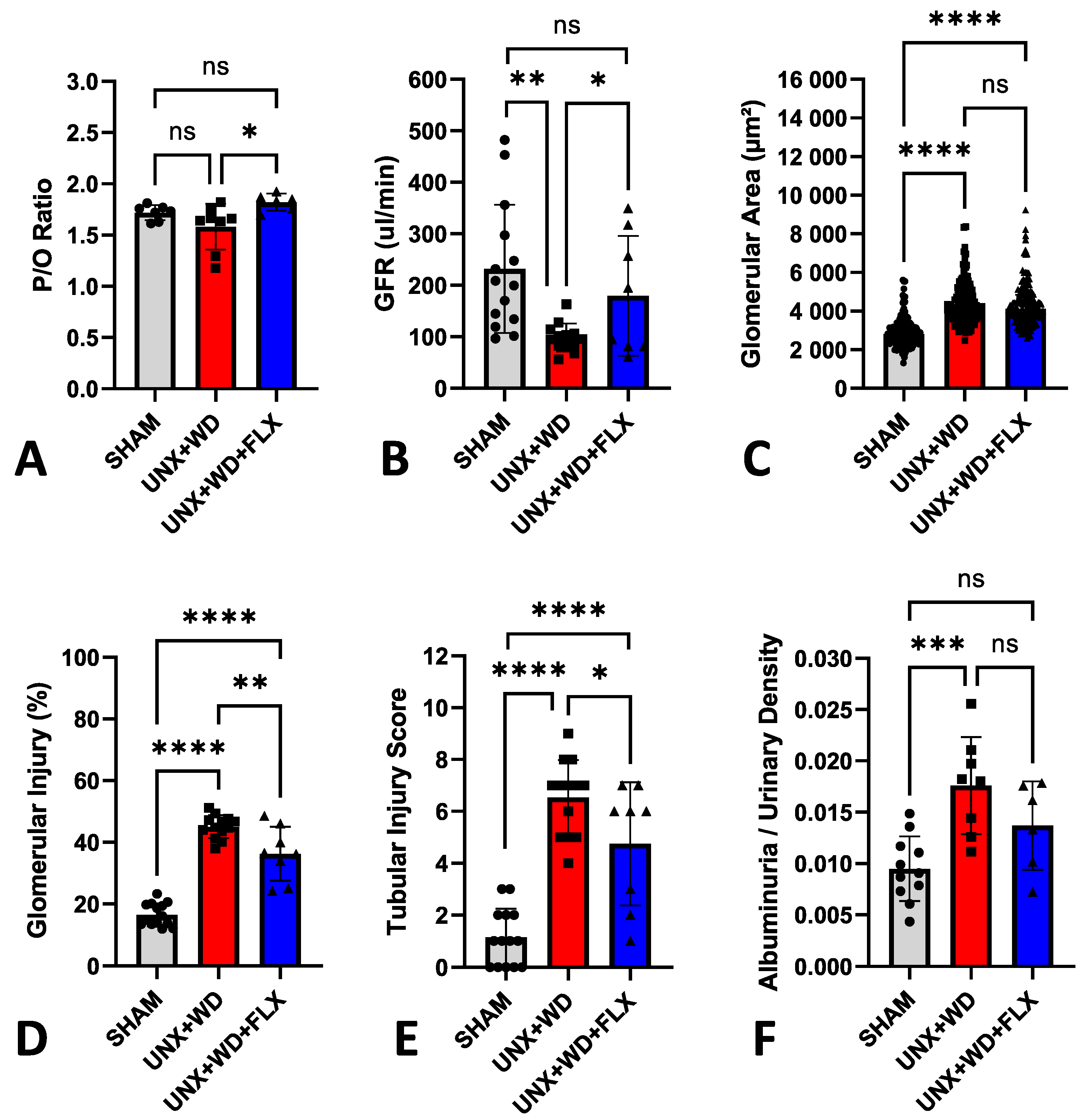 Nutrients 16 04105 g007 Nutrients 16 04105 g007