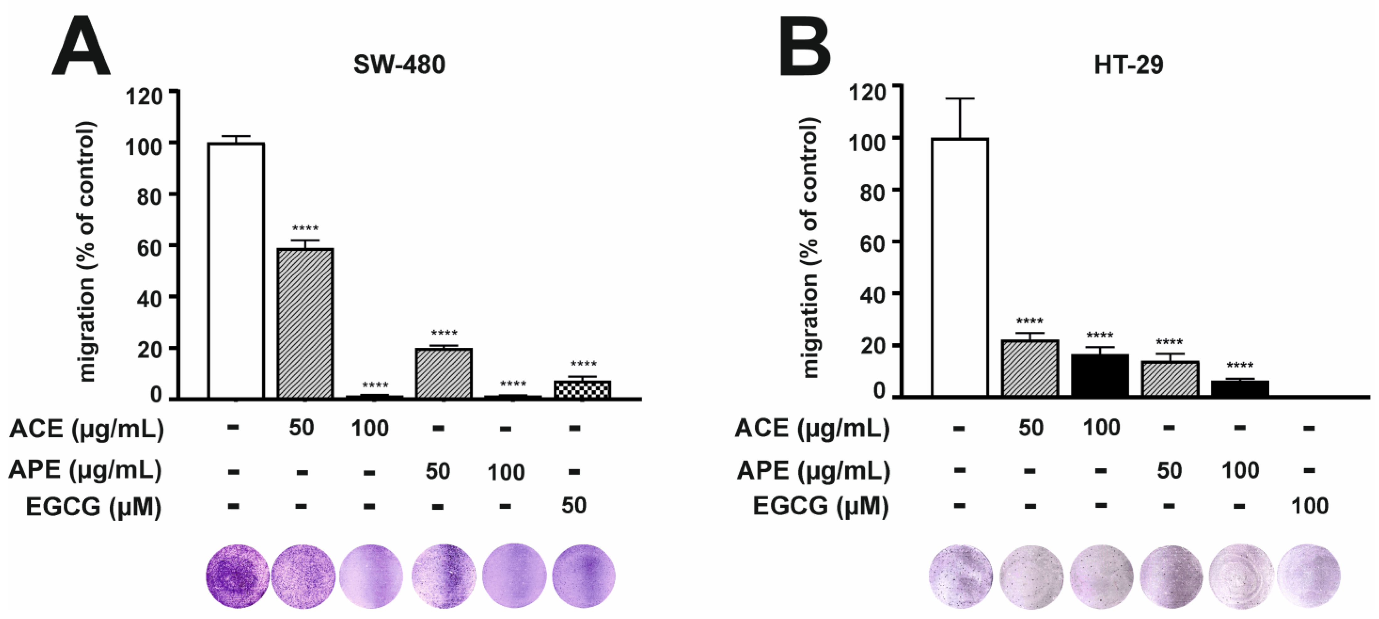 Nutrients 16 04110 g001