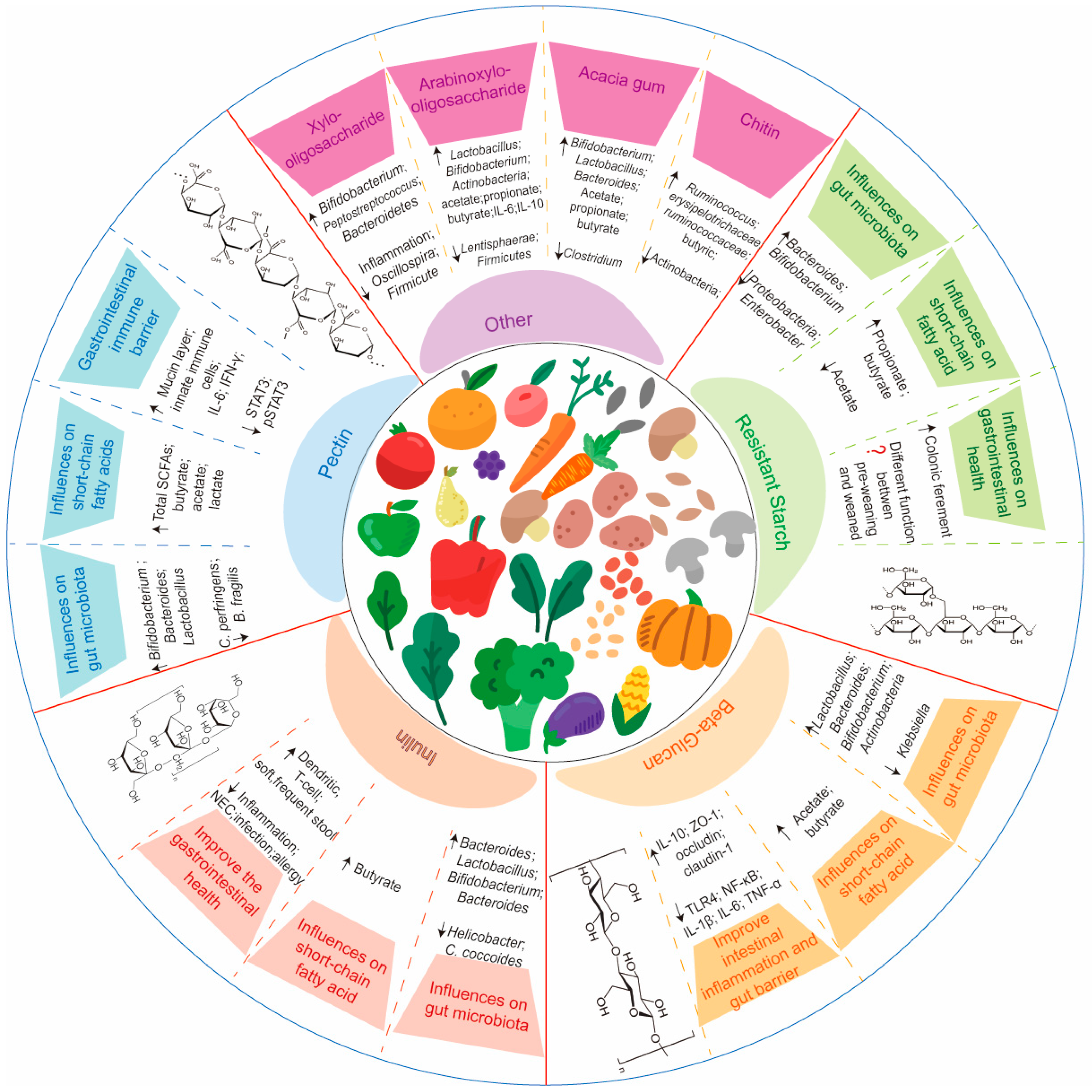 Nutrients 16 04122 g003