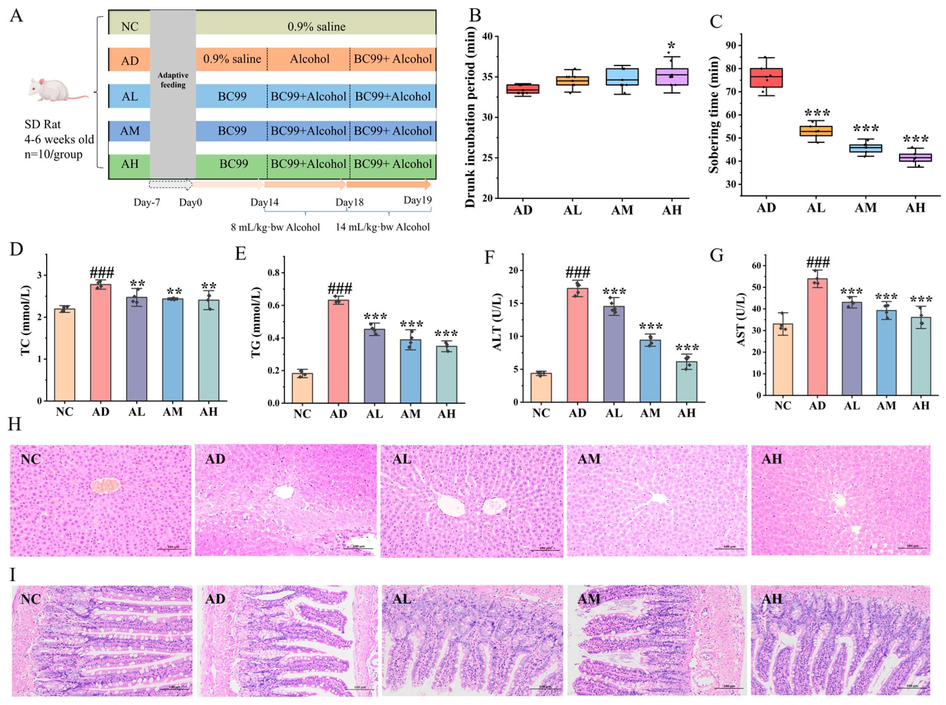 Nutrients 16 04142 g001