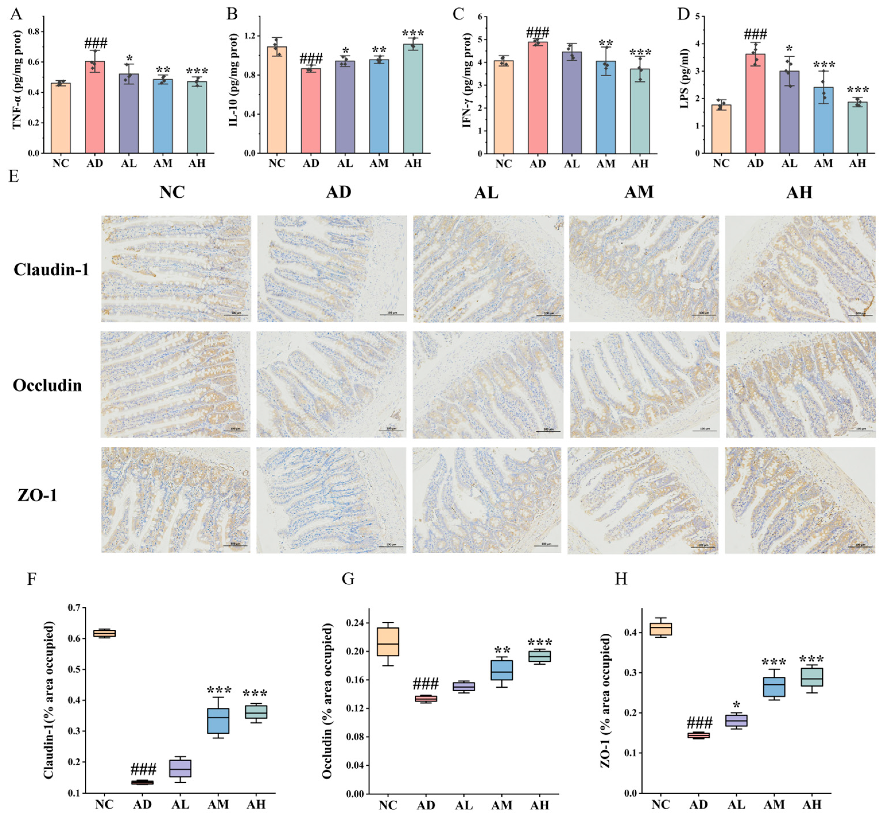 Nutrients 16 04142 g002
