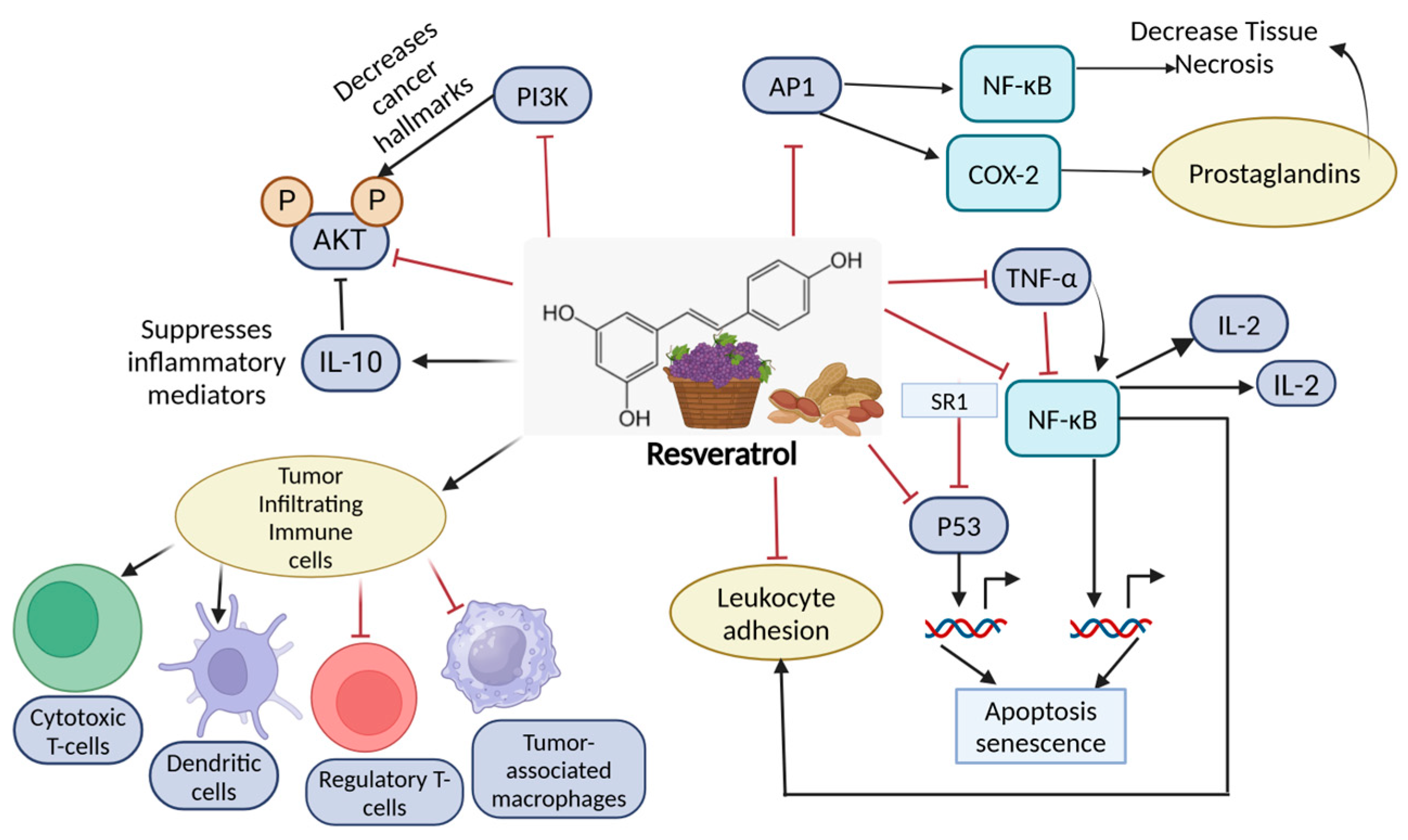 Nutrients 16 04143 g005