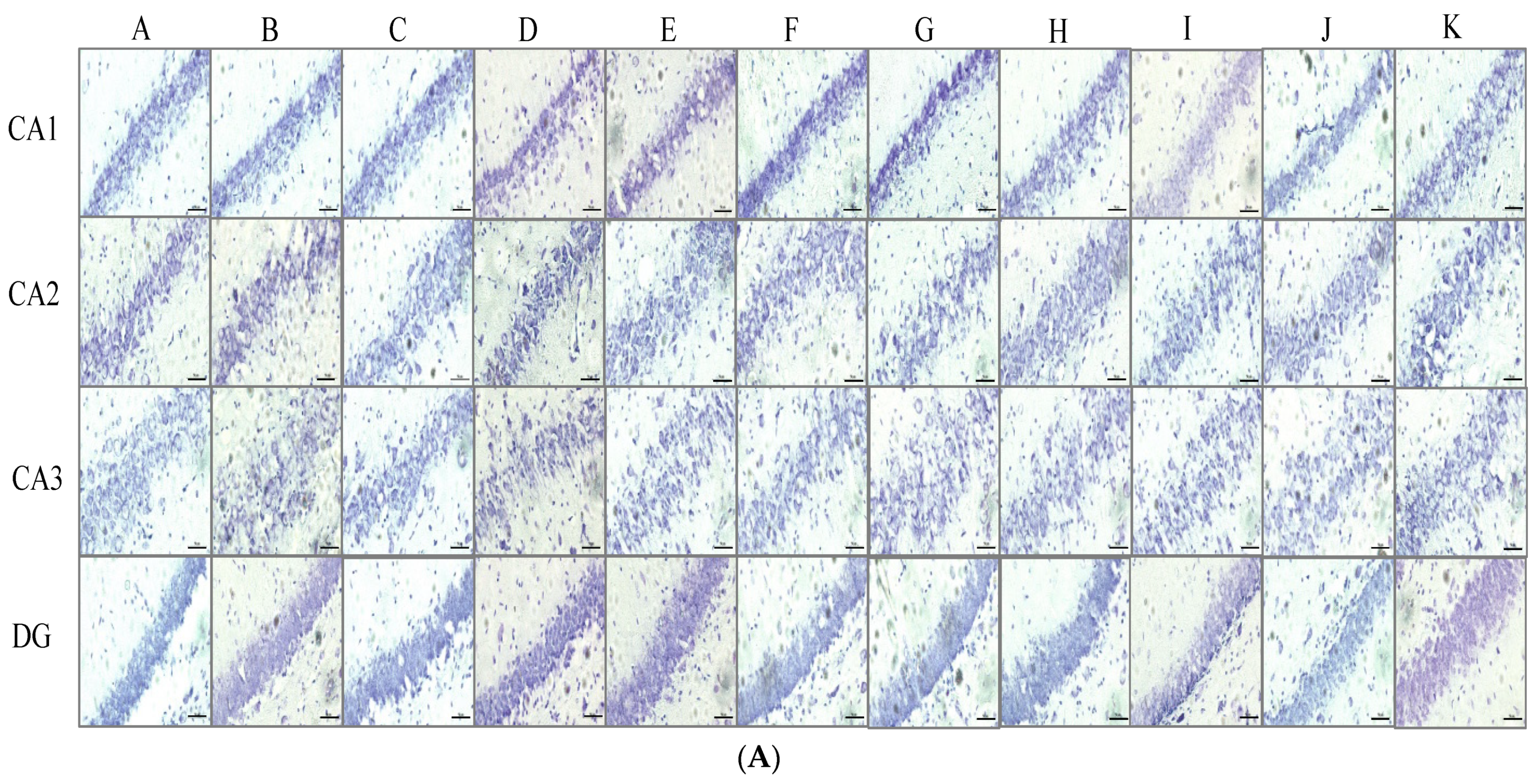 Nutrients 16 04144 g003a
