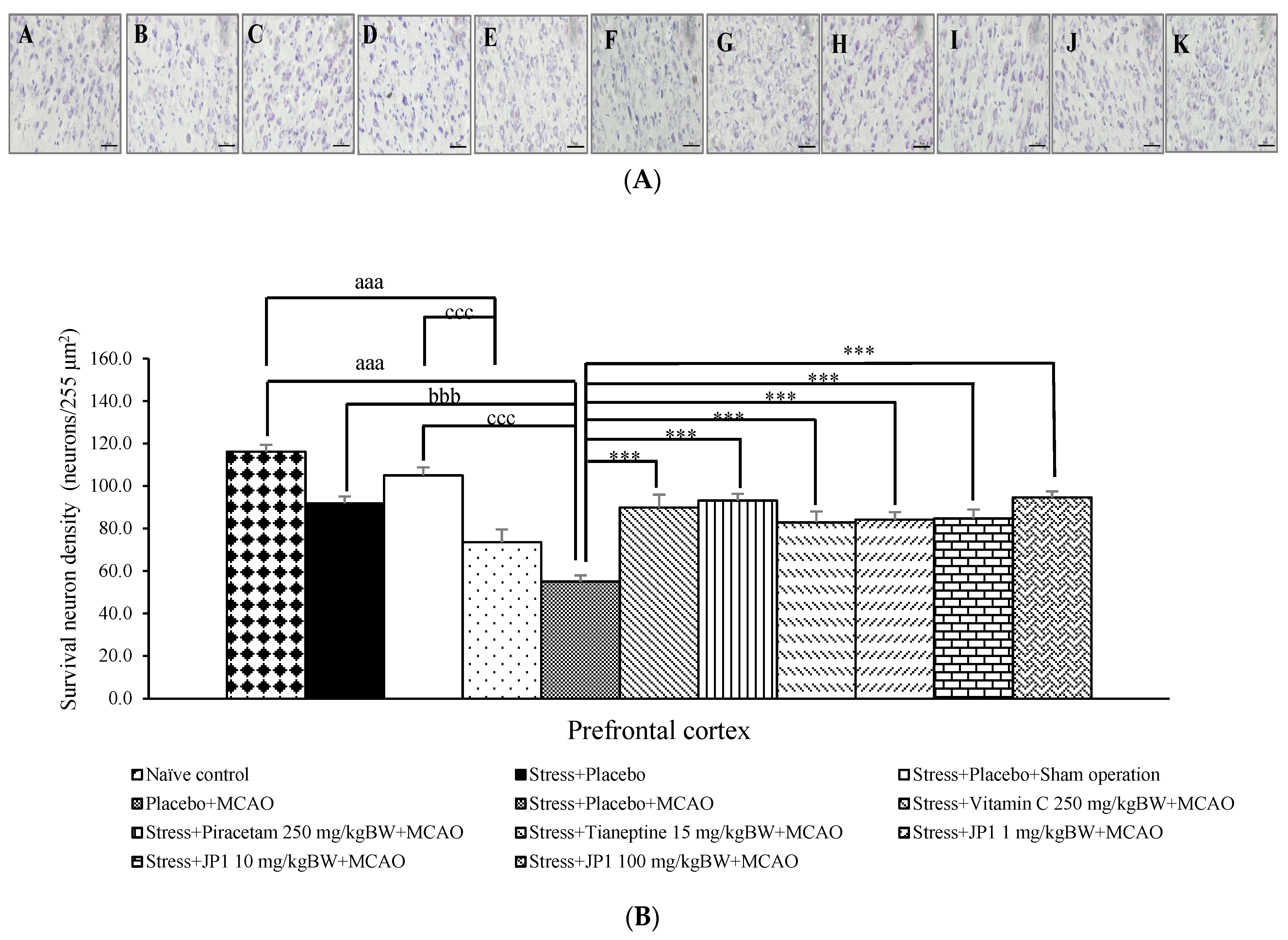 Nutrients 16 04144 g004