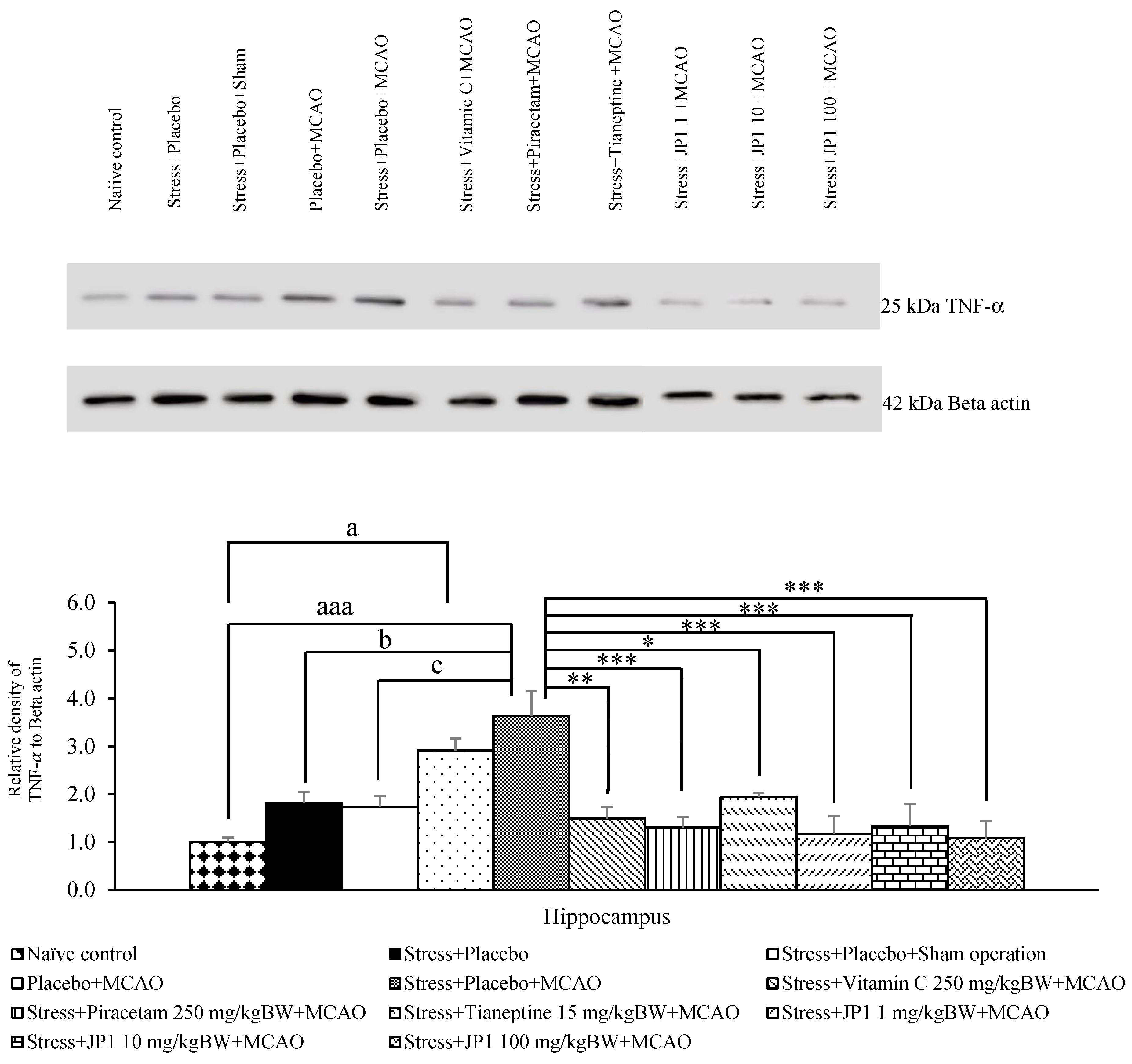 Nutrients 16 04144 g008