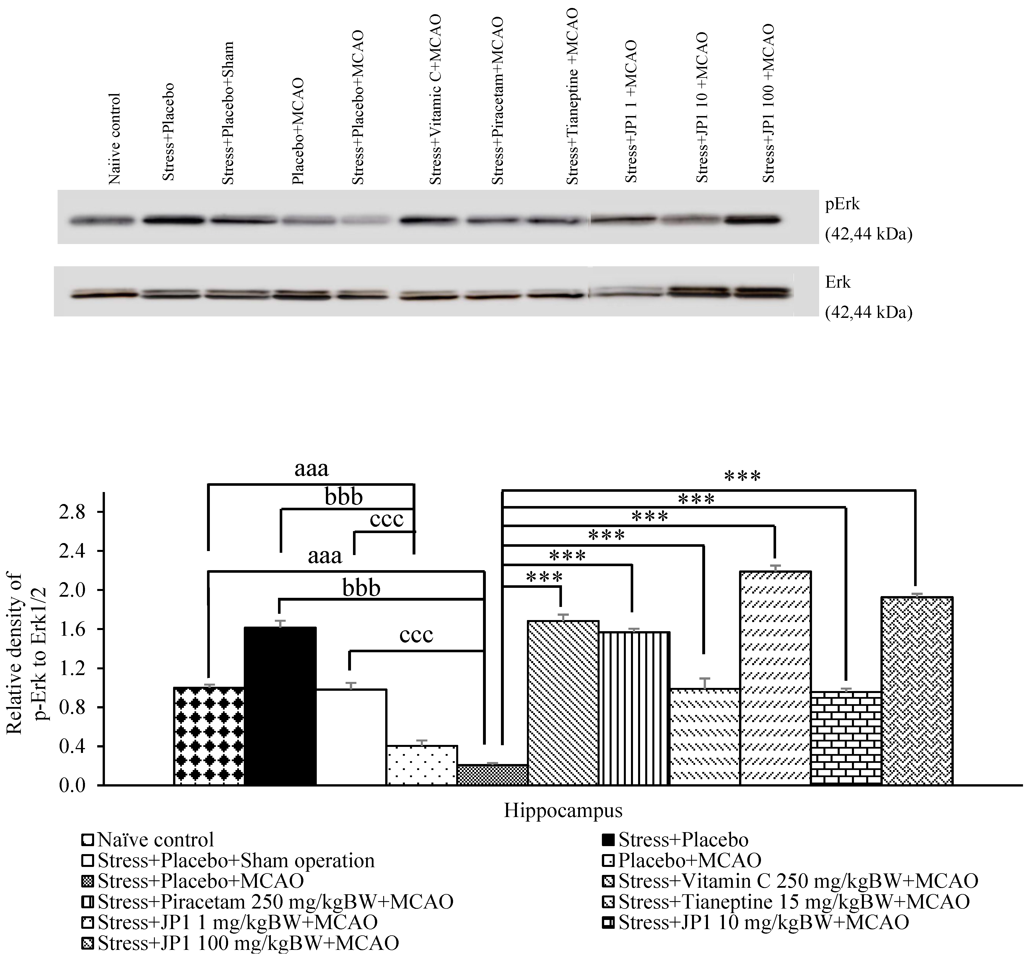 Nutrients 16 04144 g010
