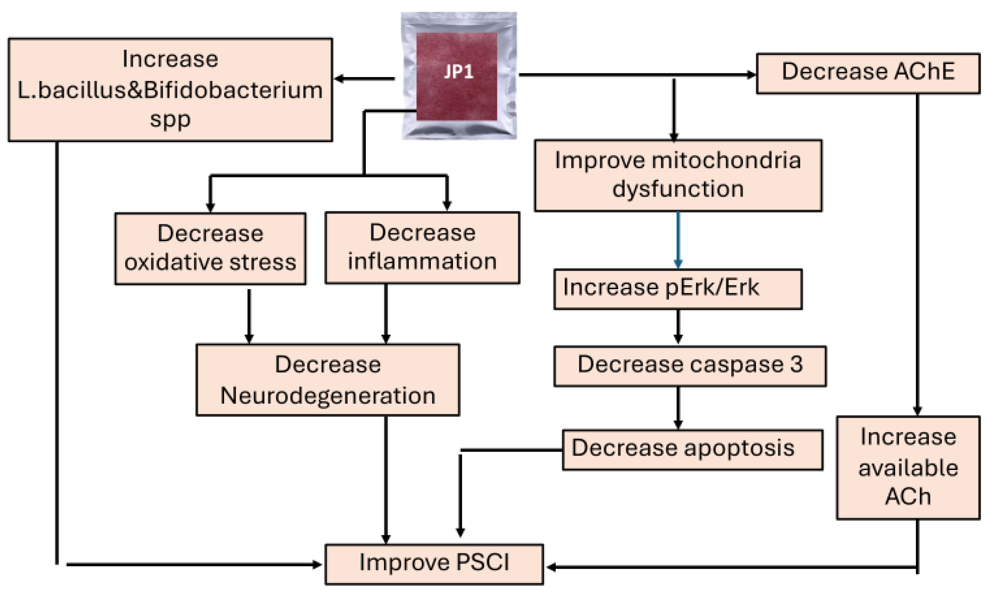 Nutrients 16 04144 g012