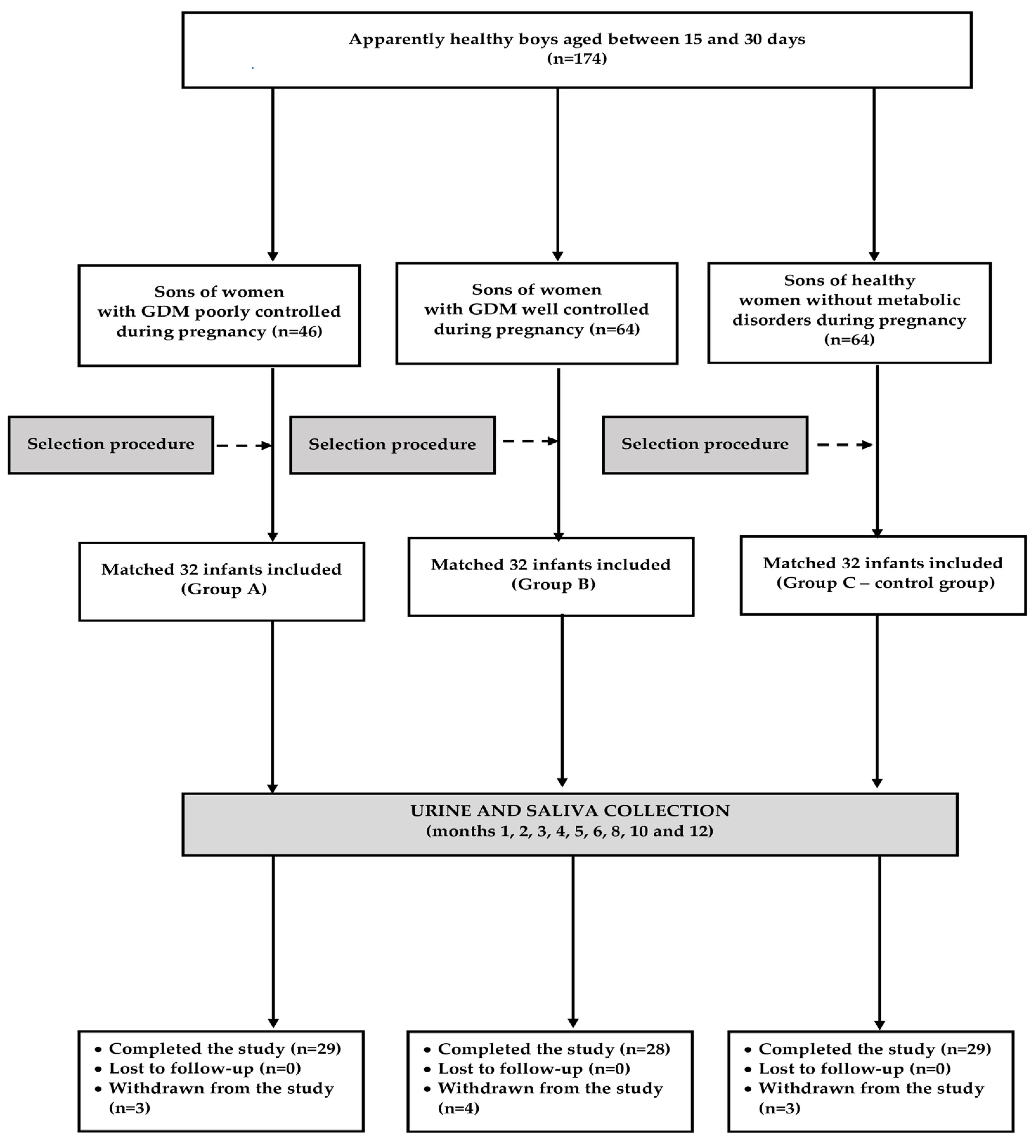 Nutrients 16 04145 g001