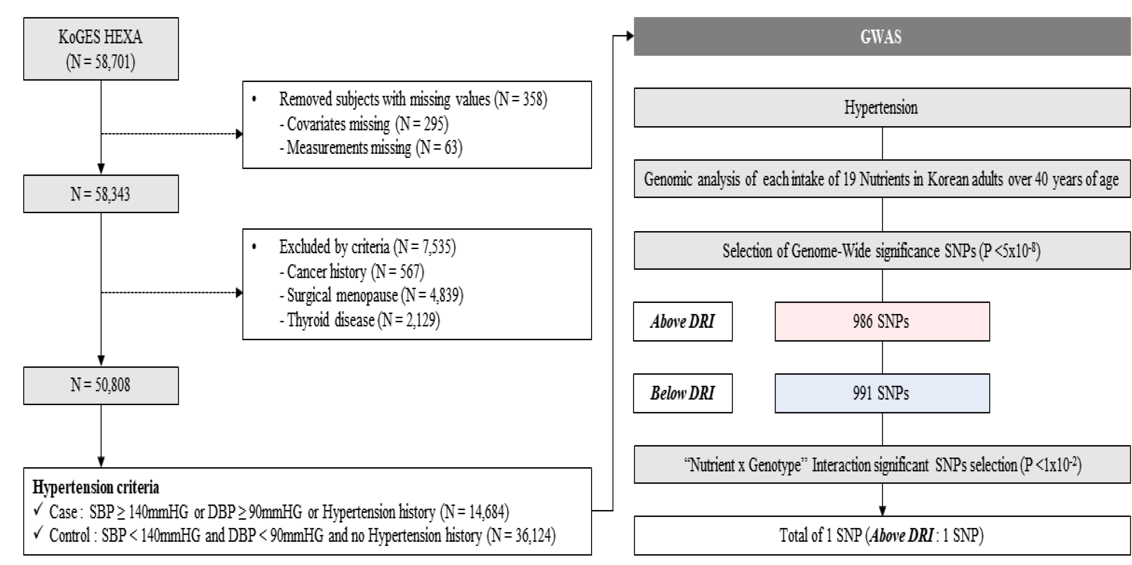 Nutrients 16 04147 g001 Nutrients 16 04147 g001