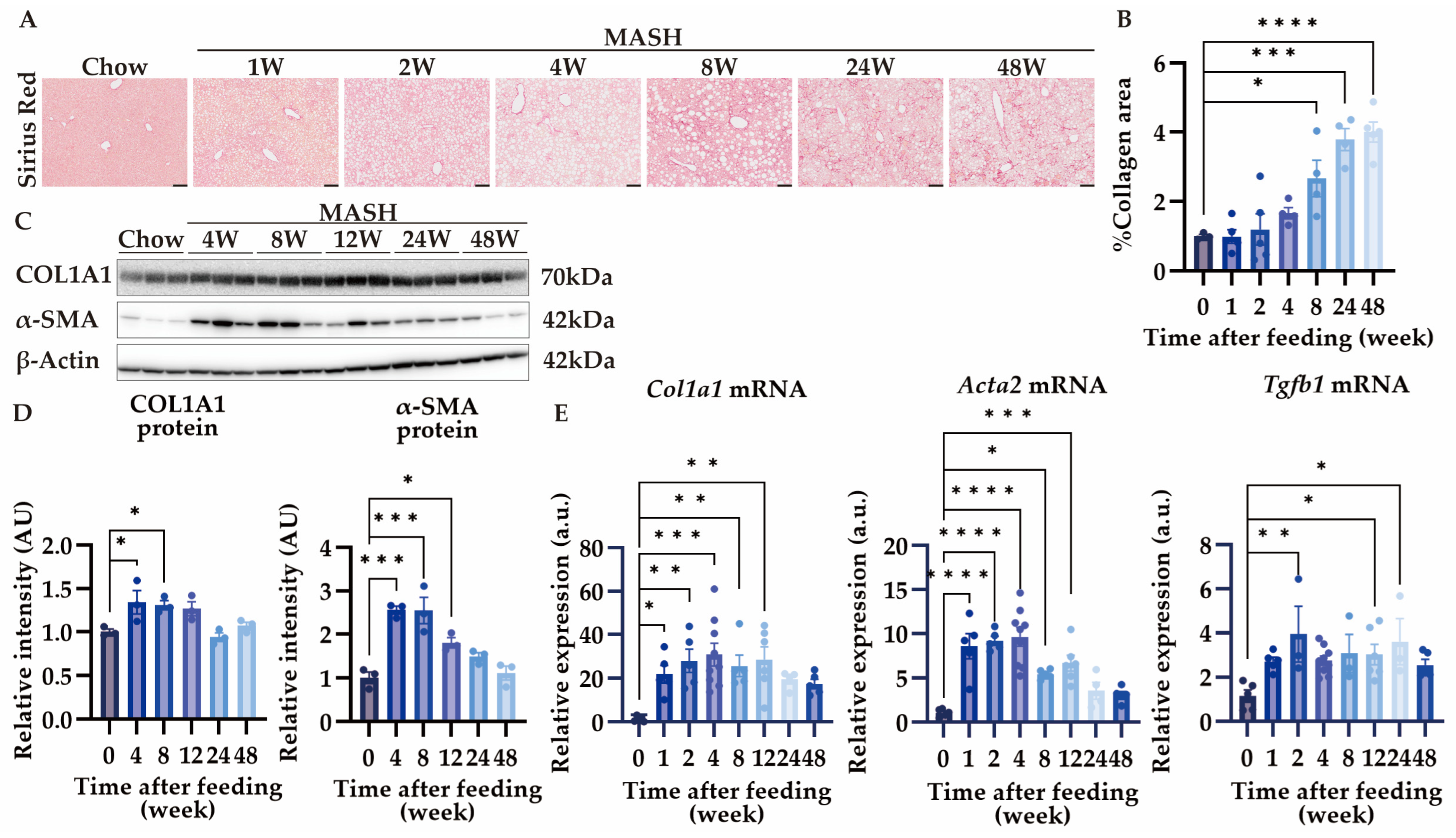 Nutrients 16 04151 g003