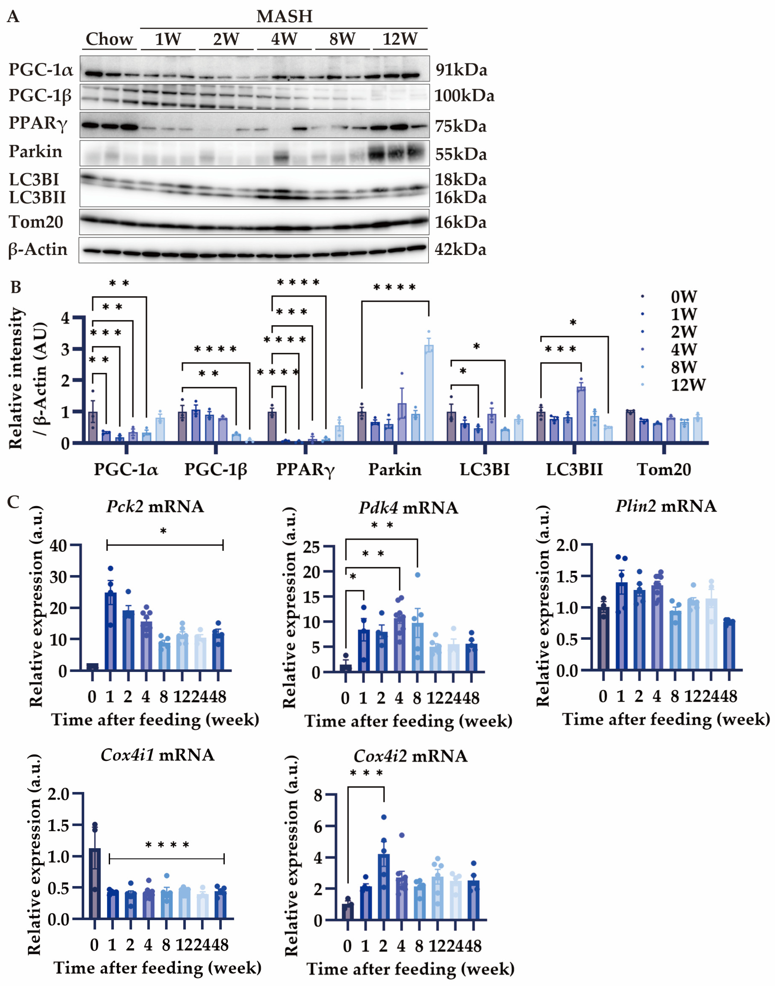 Nutrients 16 04151 g006