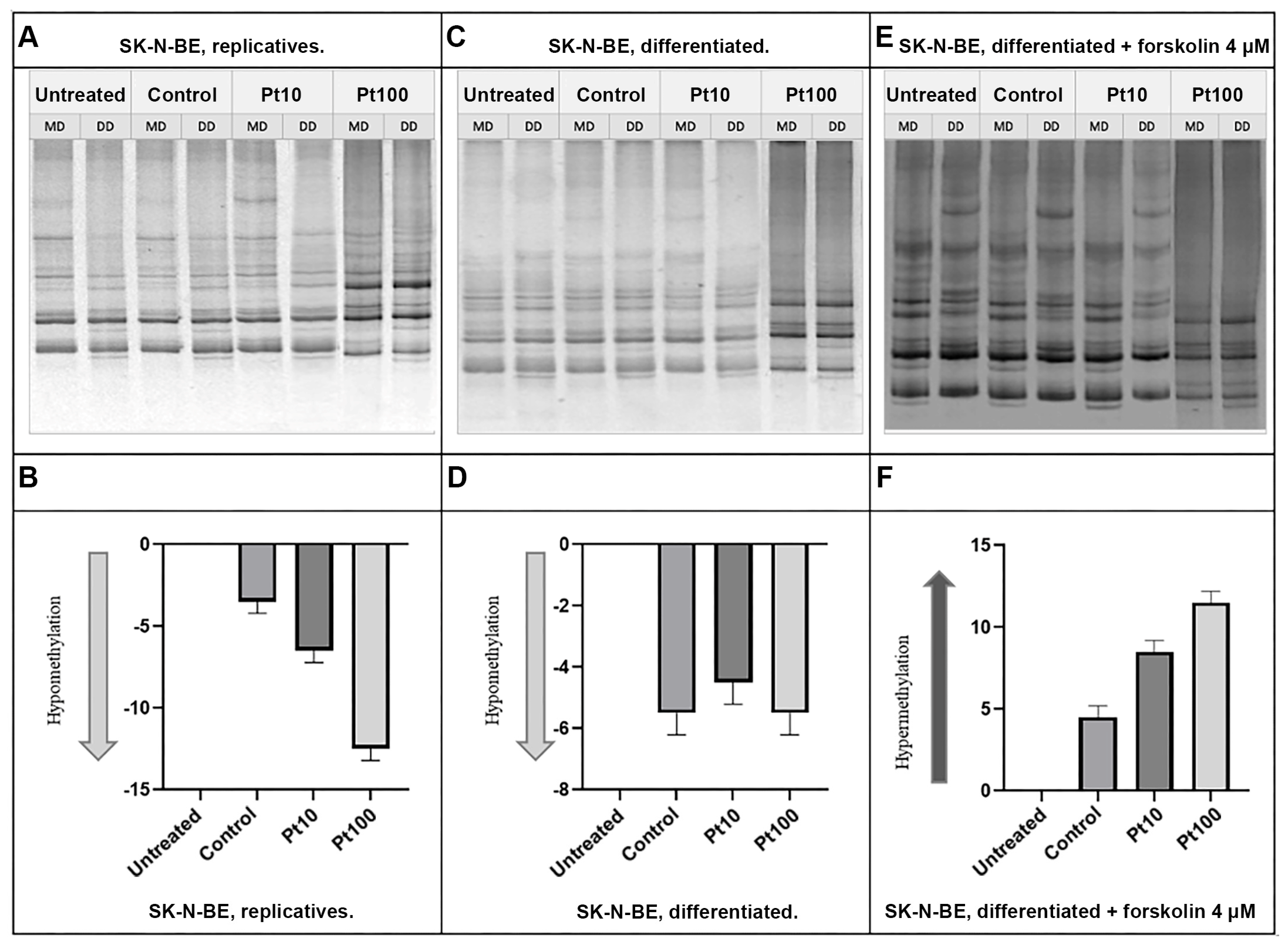 Nutrients 16 04152 g006 Nutrients 16 04152 g006