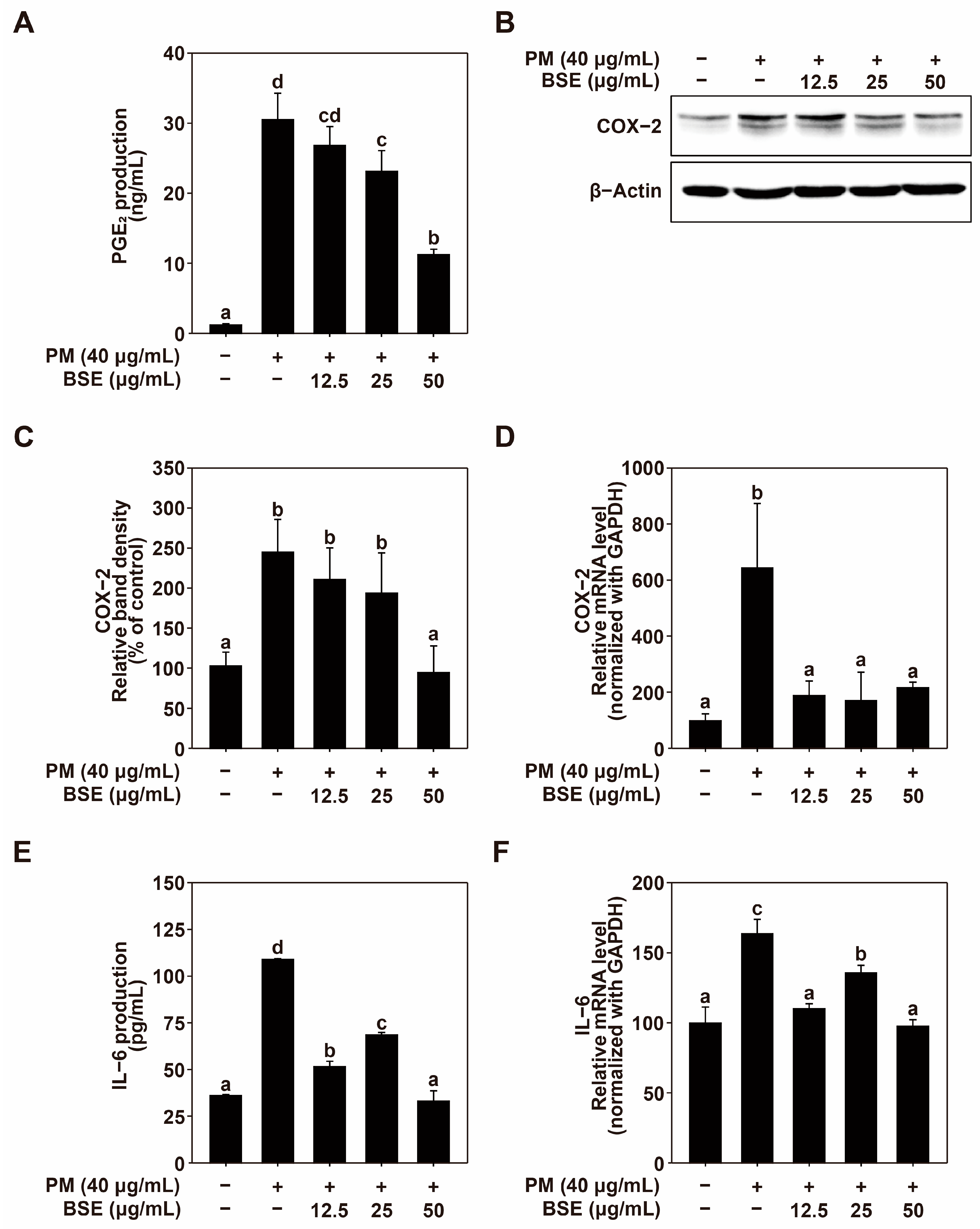 Nutrients 16 04156 g002