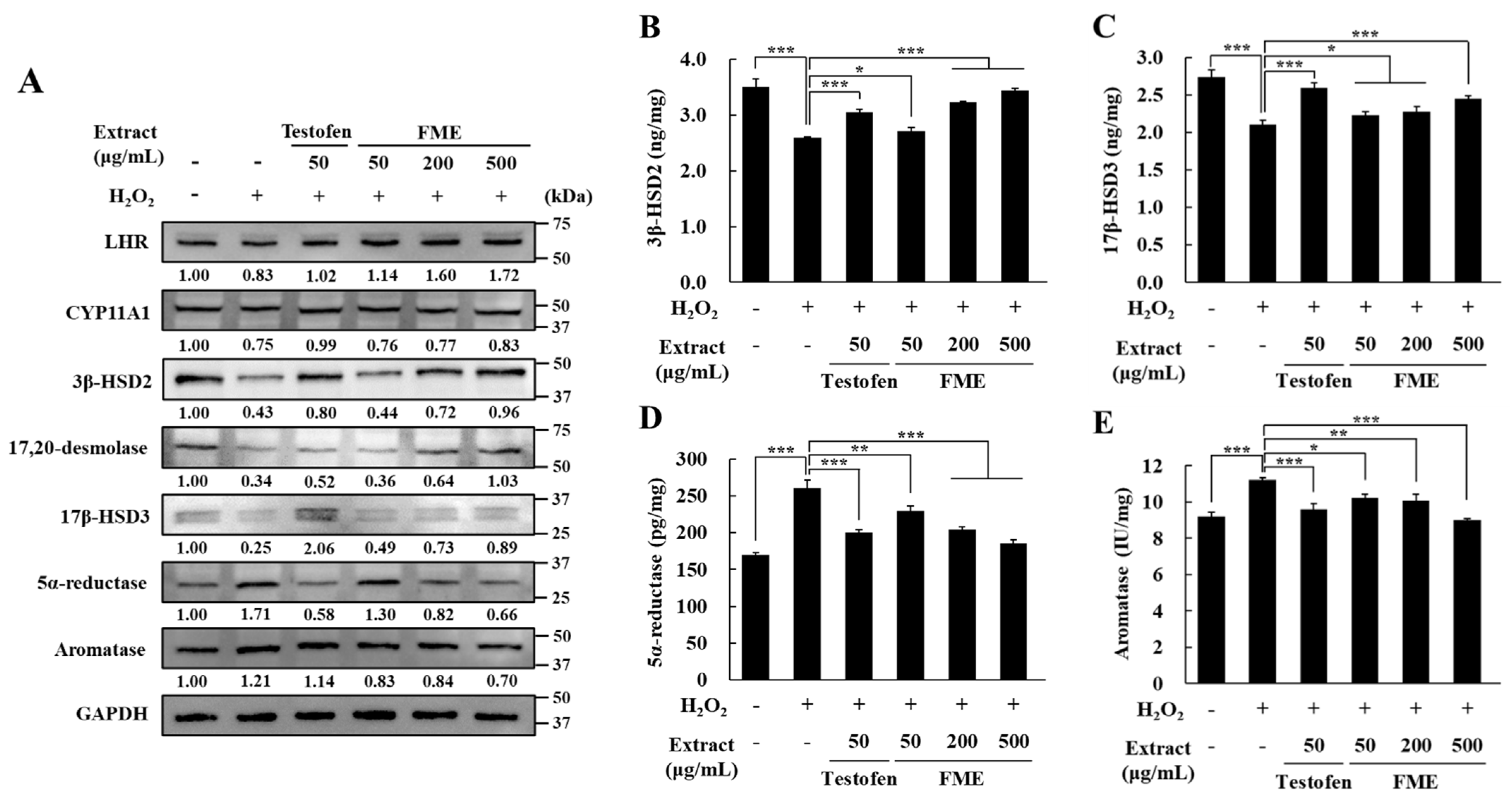 Nutrients 16 04159 g004 Nutrients 16 04159 g004