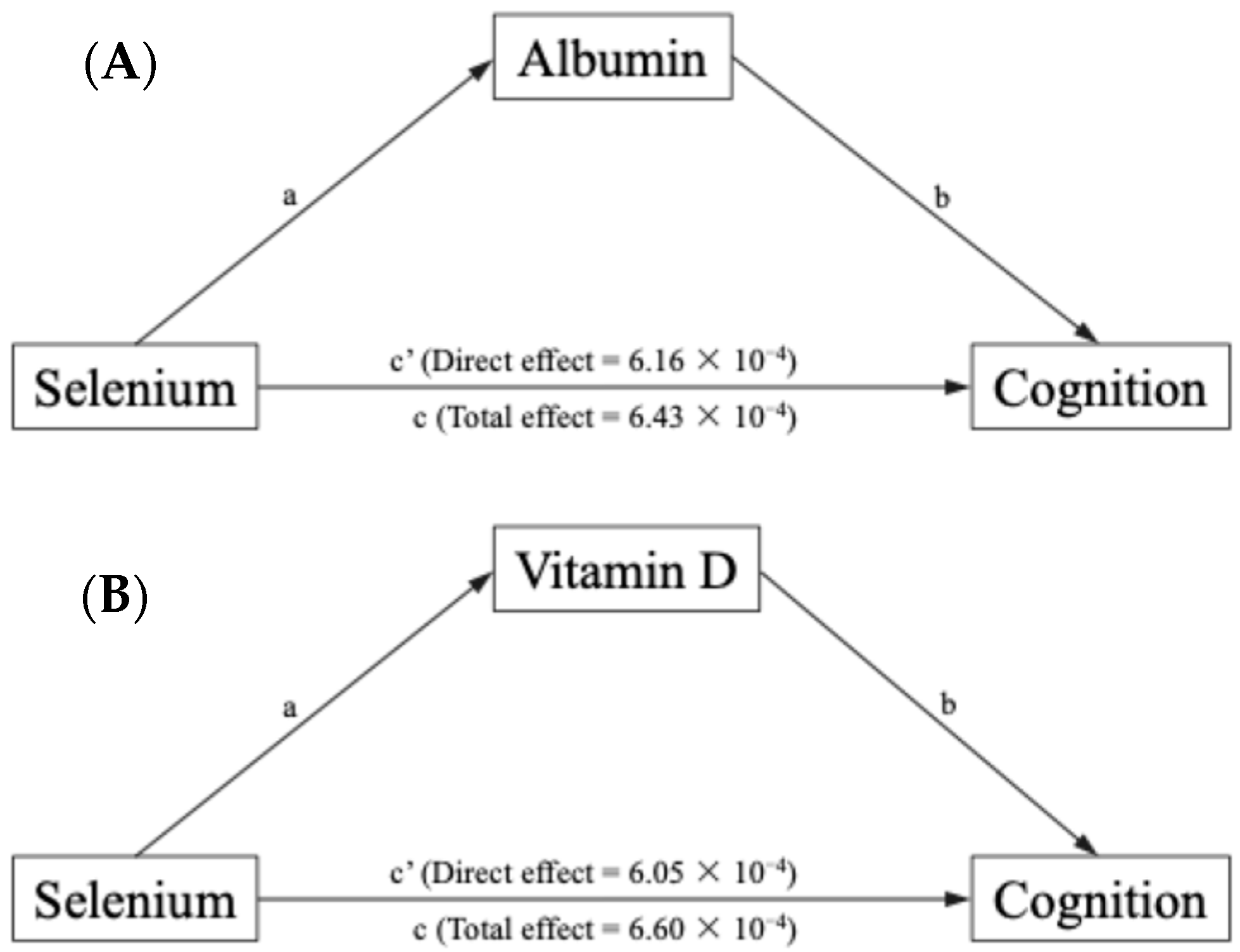 Nutrients 16 04163 g002
