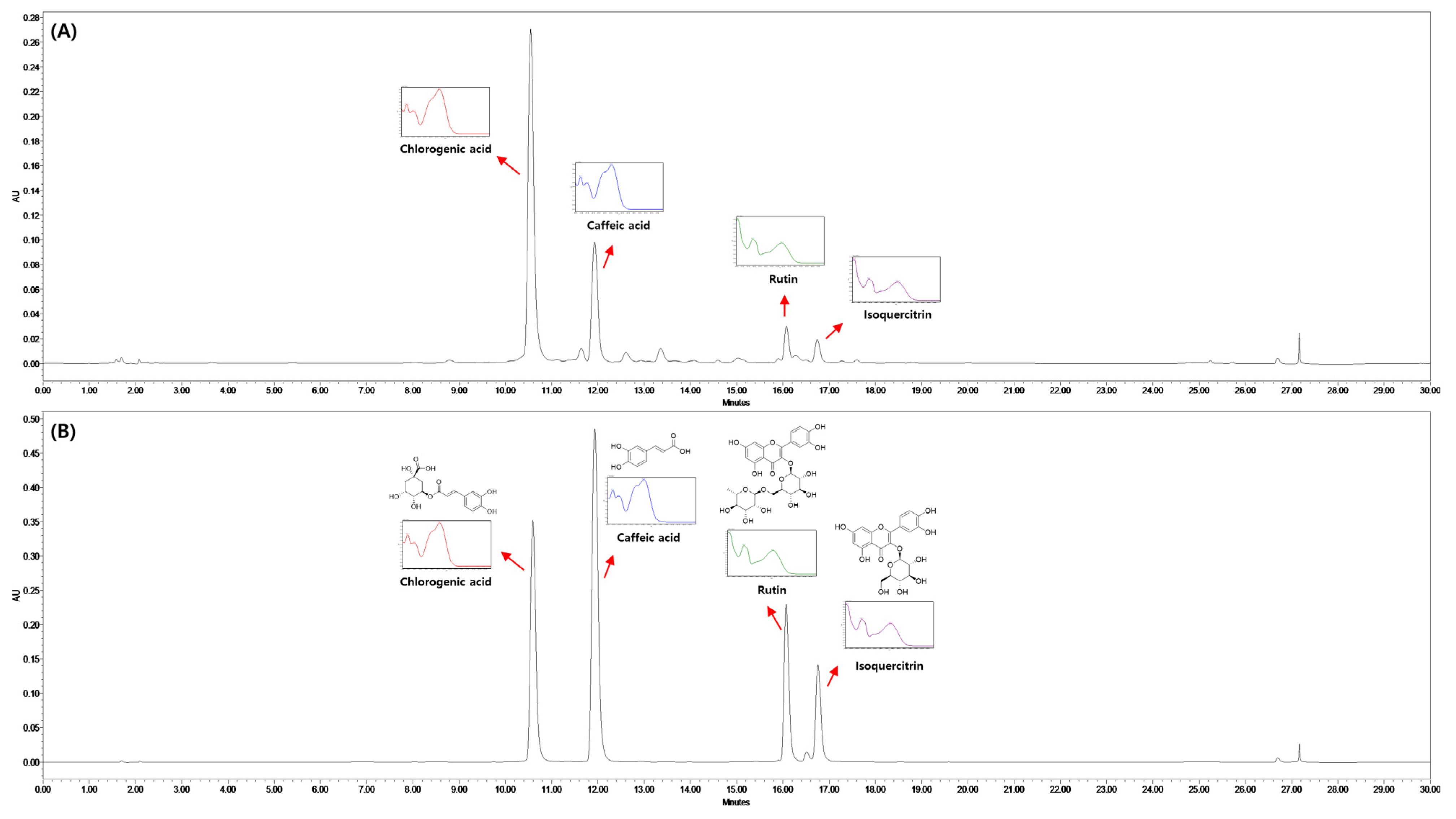 Nutrients 16 04165 g001