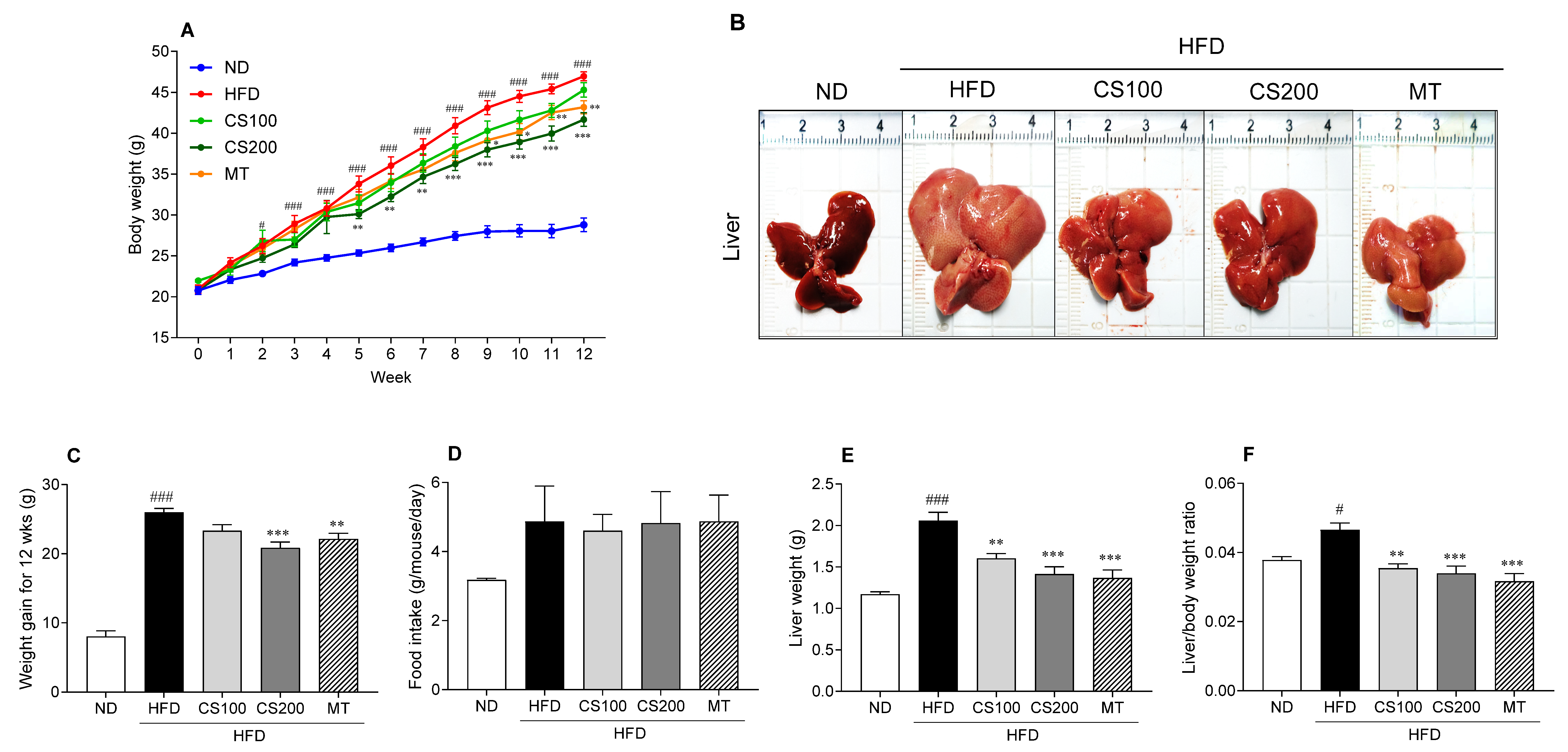 Nutrients 16 04165 g002