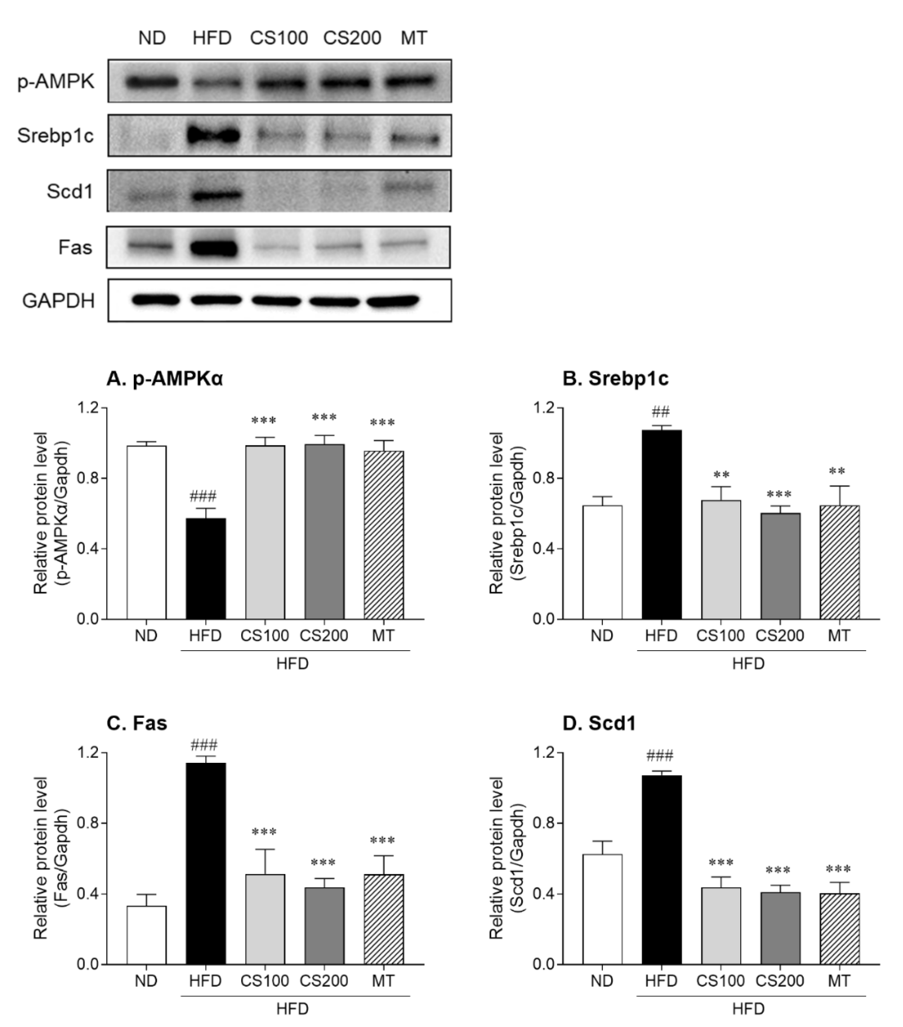 Nutrients 16 04165 g007