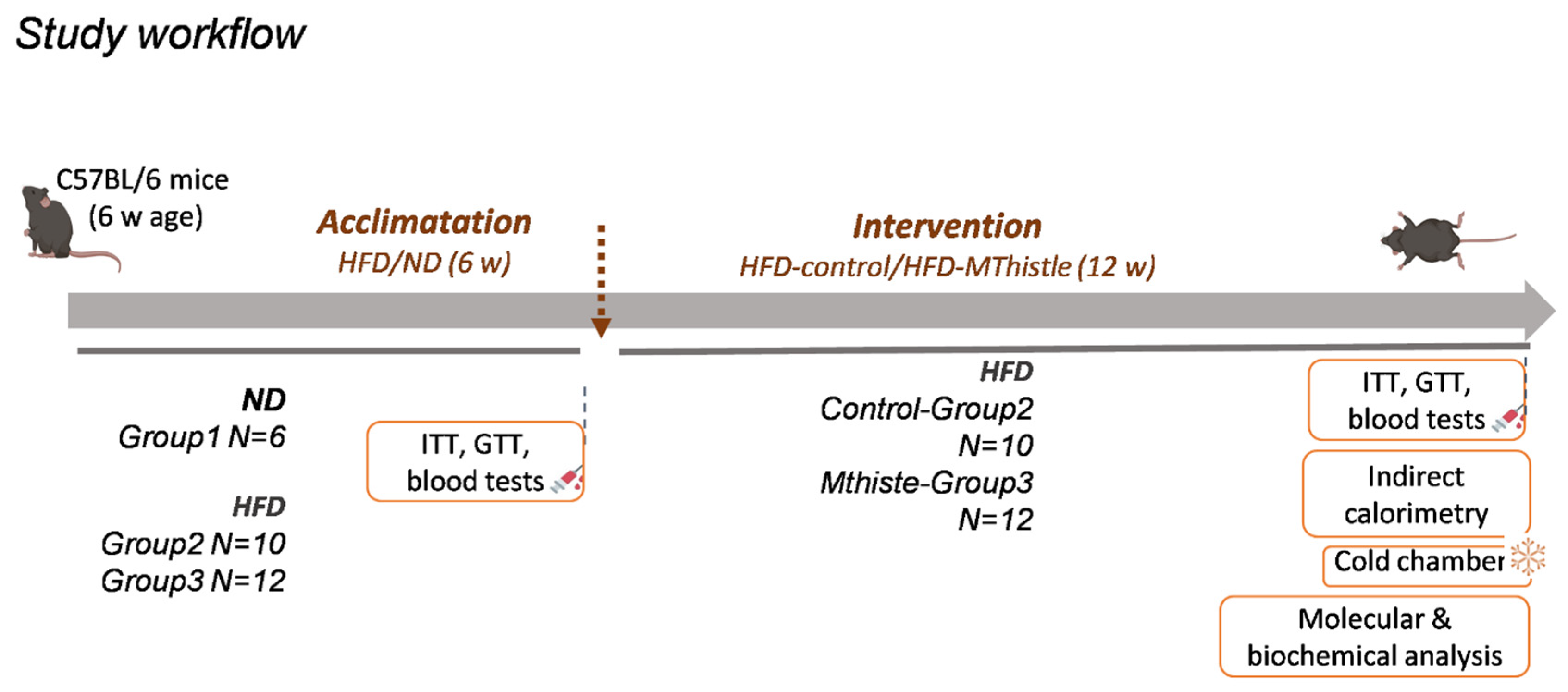 Nutrients 16 04166 g001