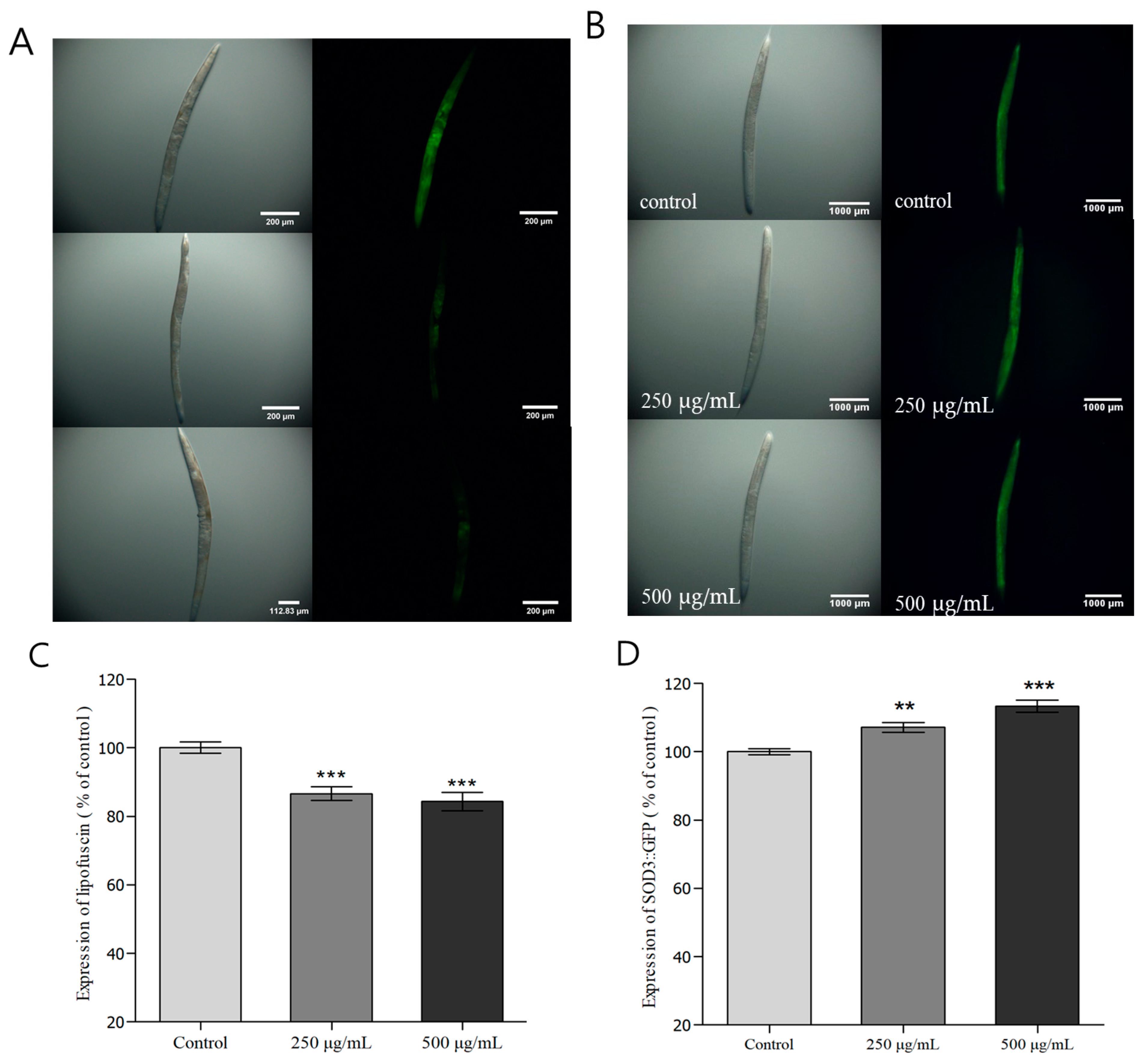 Nutrients 16 04168 g005