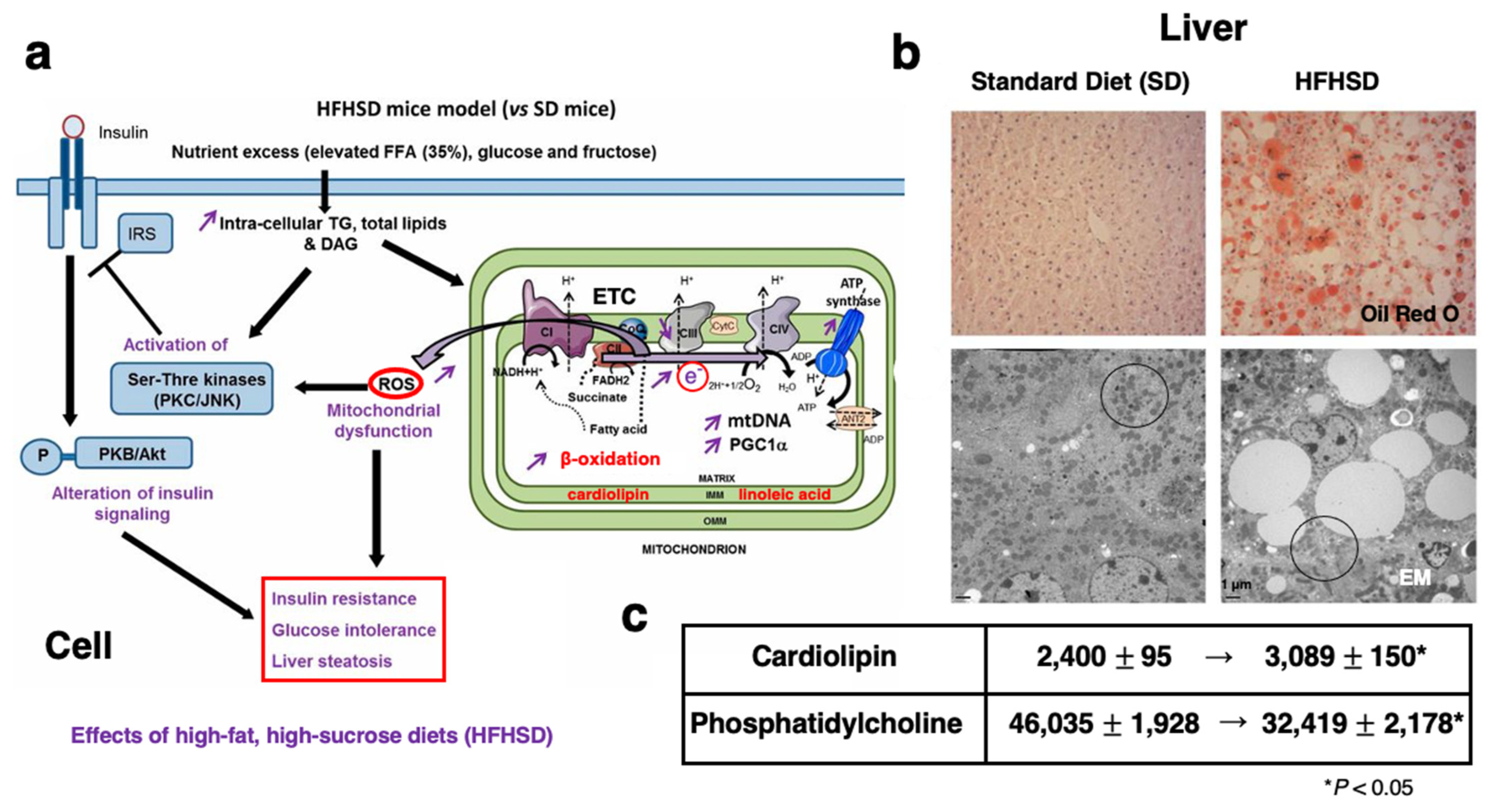 Nutrients 16 04171 g001 Nutrients 16 04171 g001