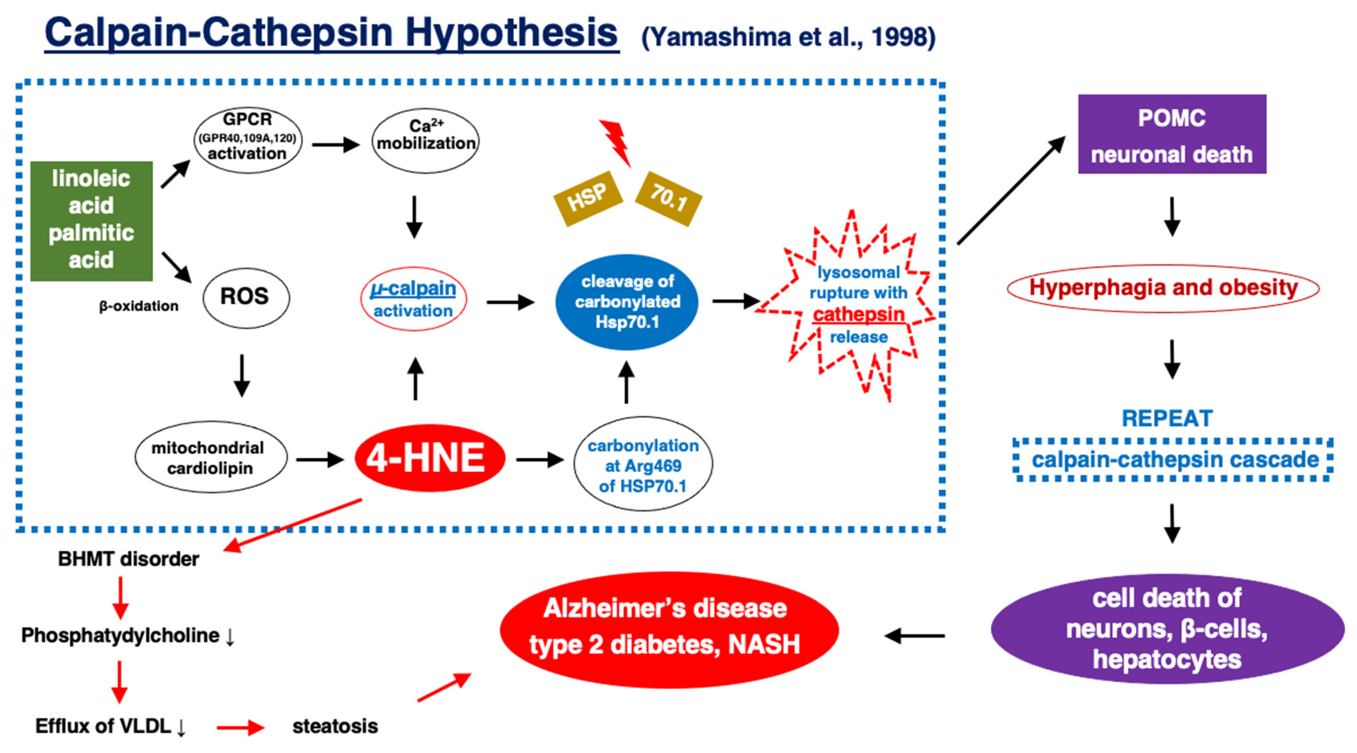 Nutrients 16 04171 g009 Nutrients 16 04171 g009
