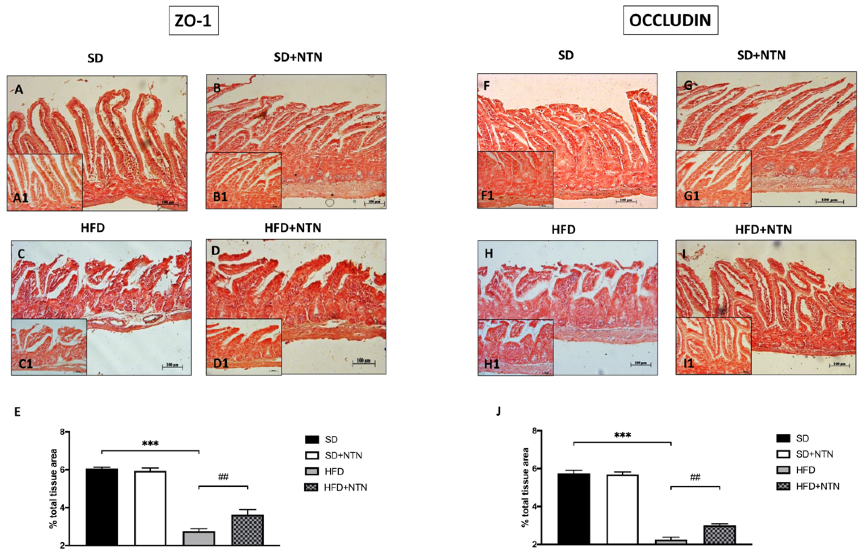 Nutrients 16 04172 g007