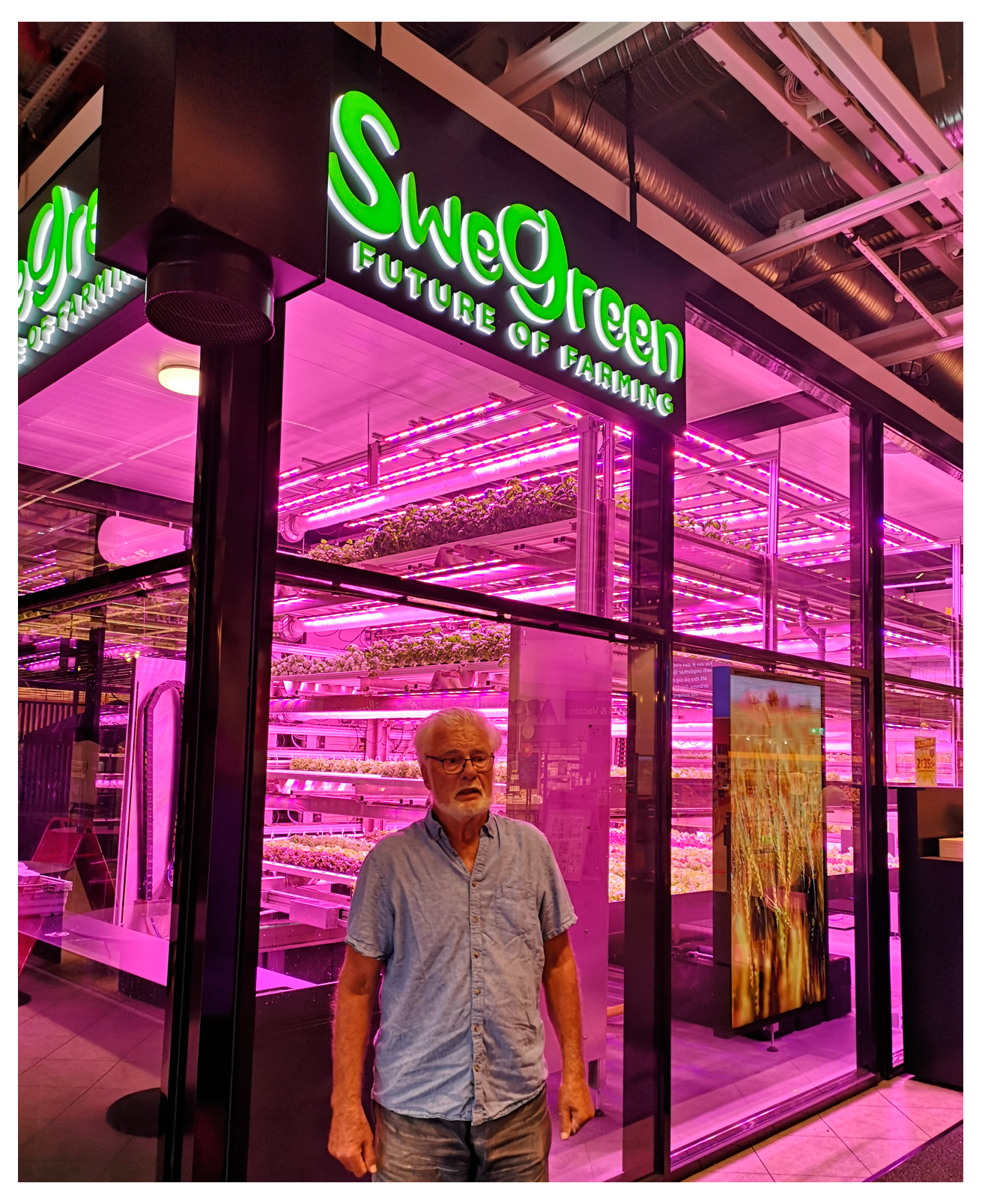 Nutrients 16 04176 g005