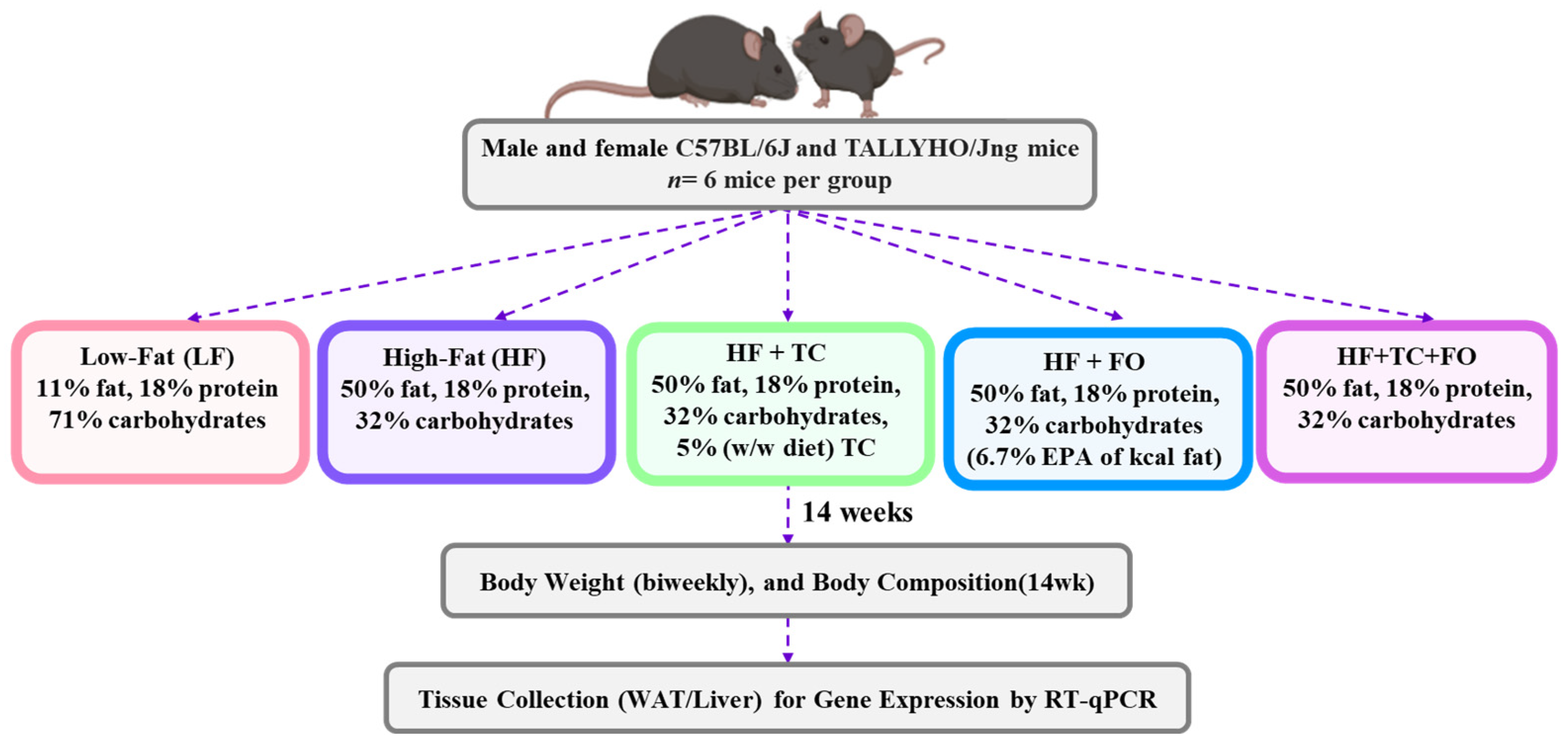 Nutrients 16 04179 g001