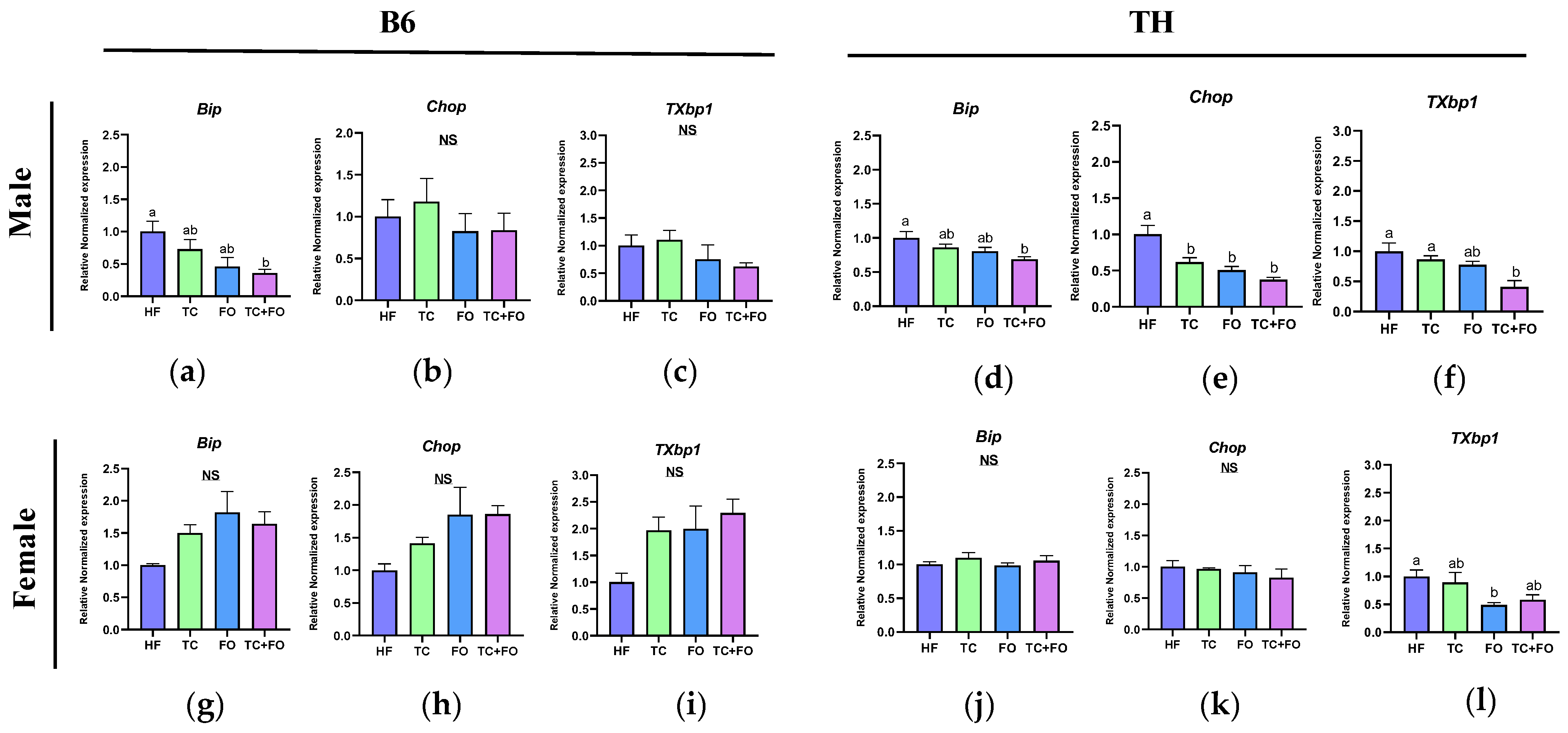 Nutrients 16 04179 g009