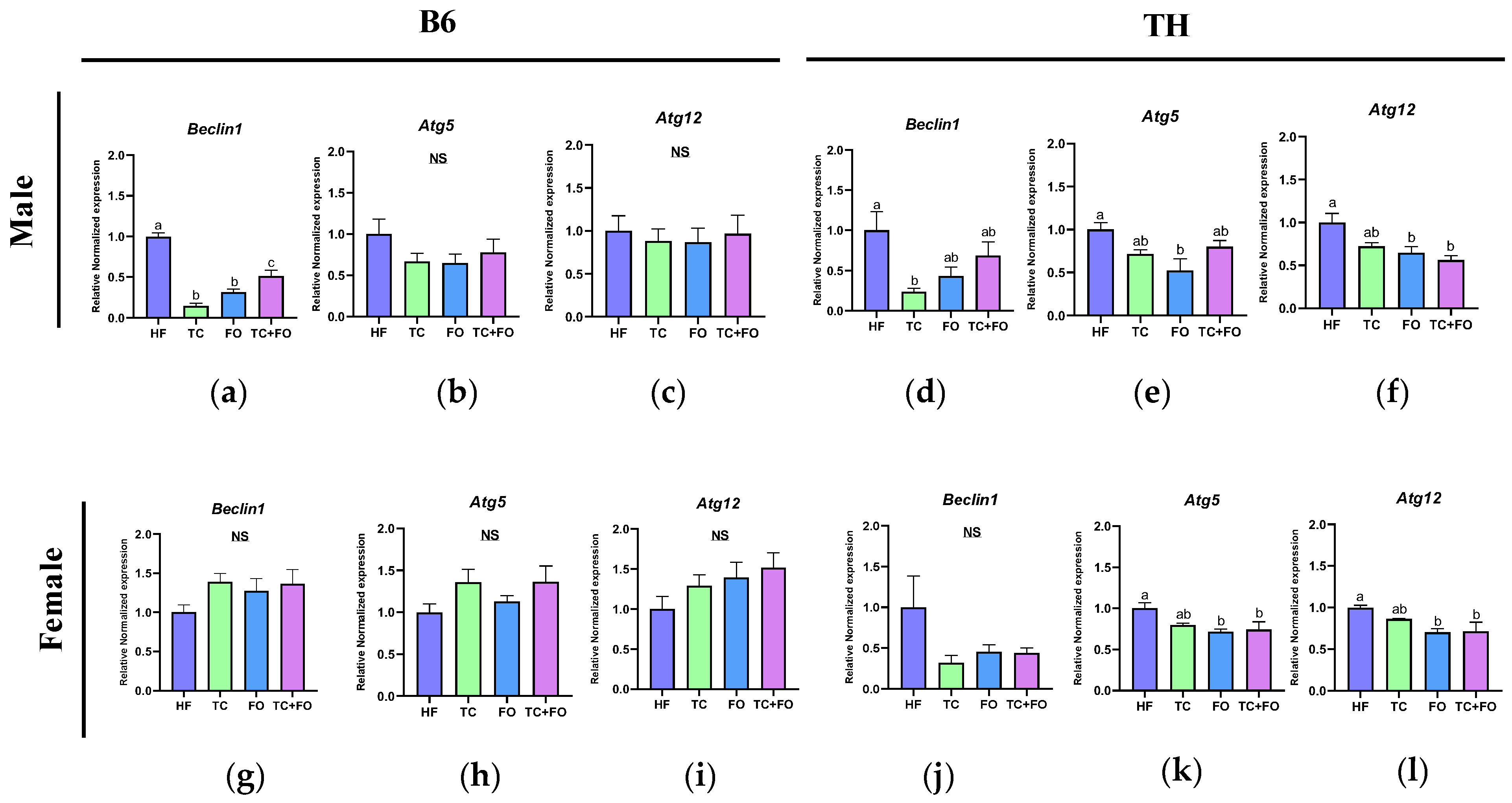 Nutrients 16 04179 g011