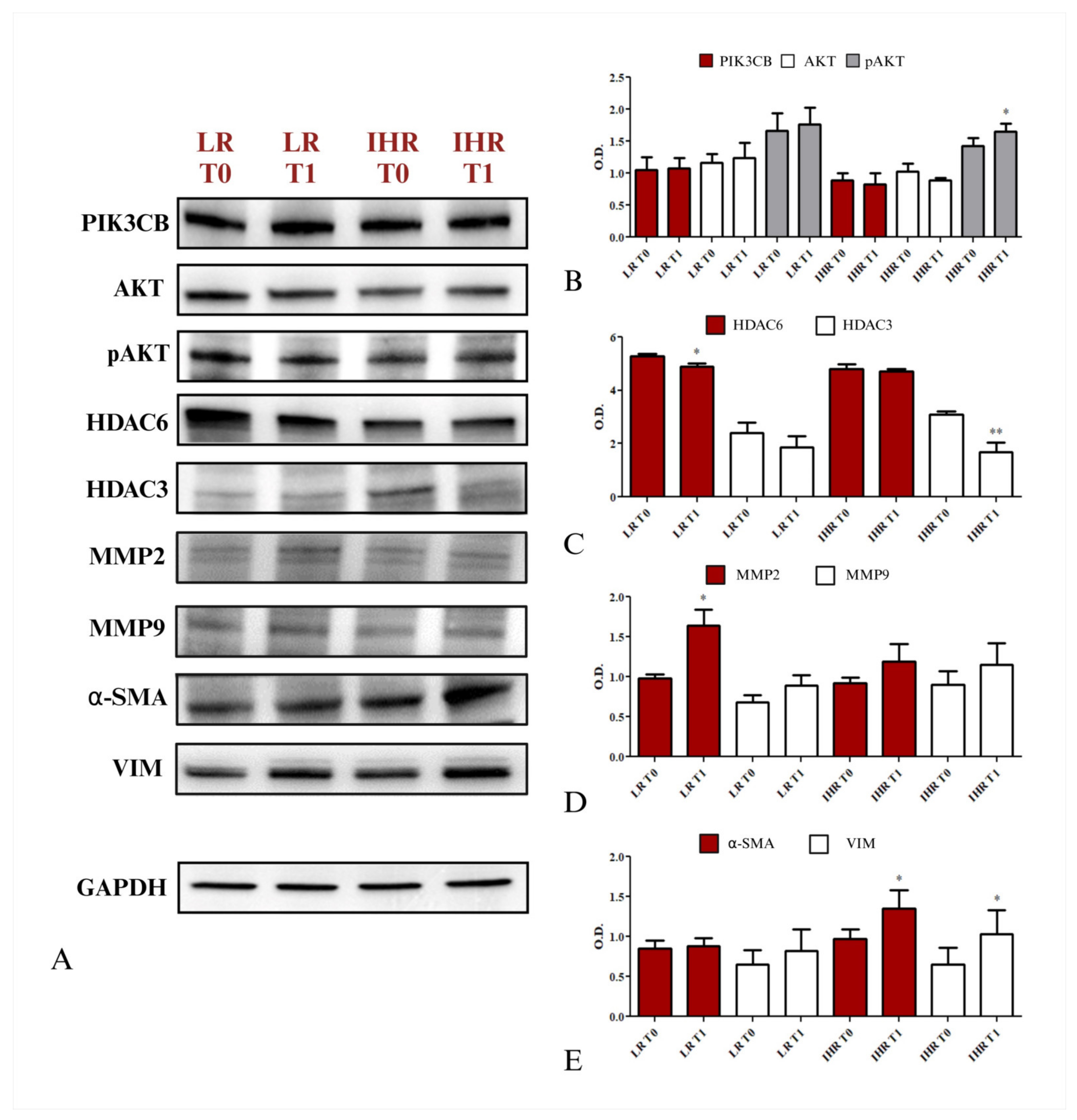 Nutrients 16 04189 g006