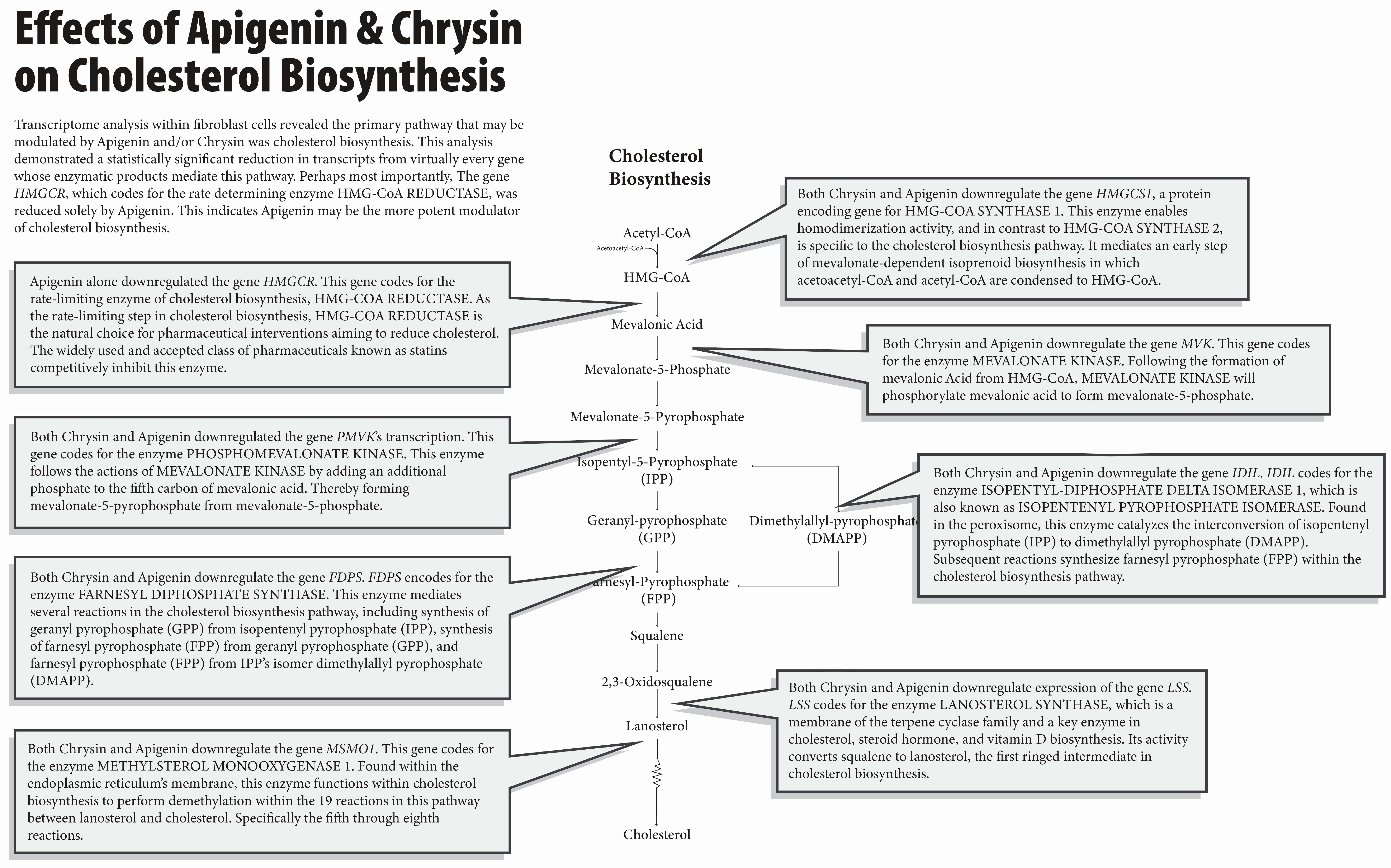 Nutrients 16 04195 g001