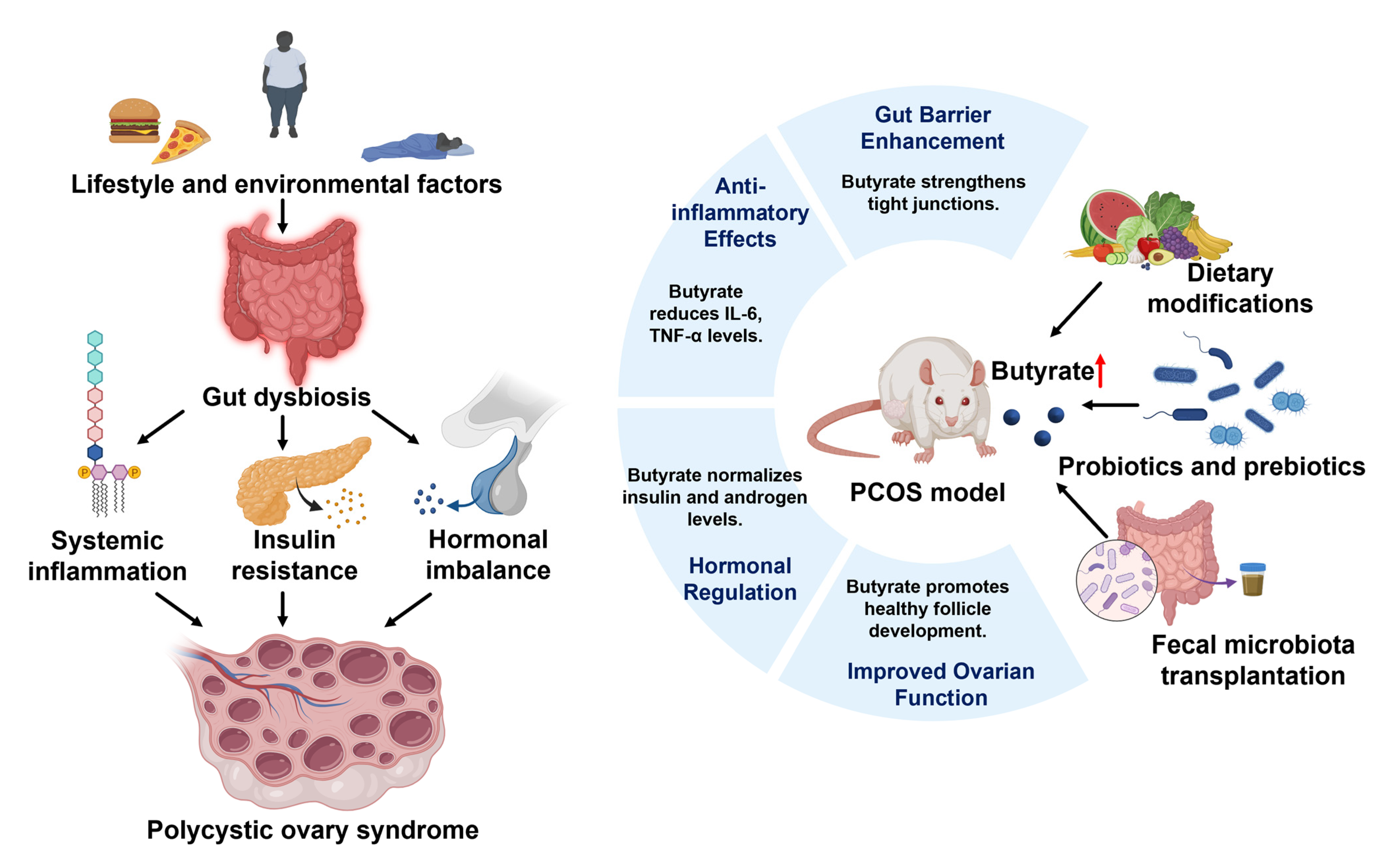 Nutrients 16 04196 g003