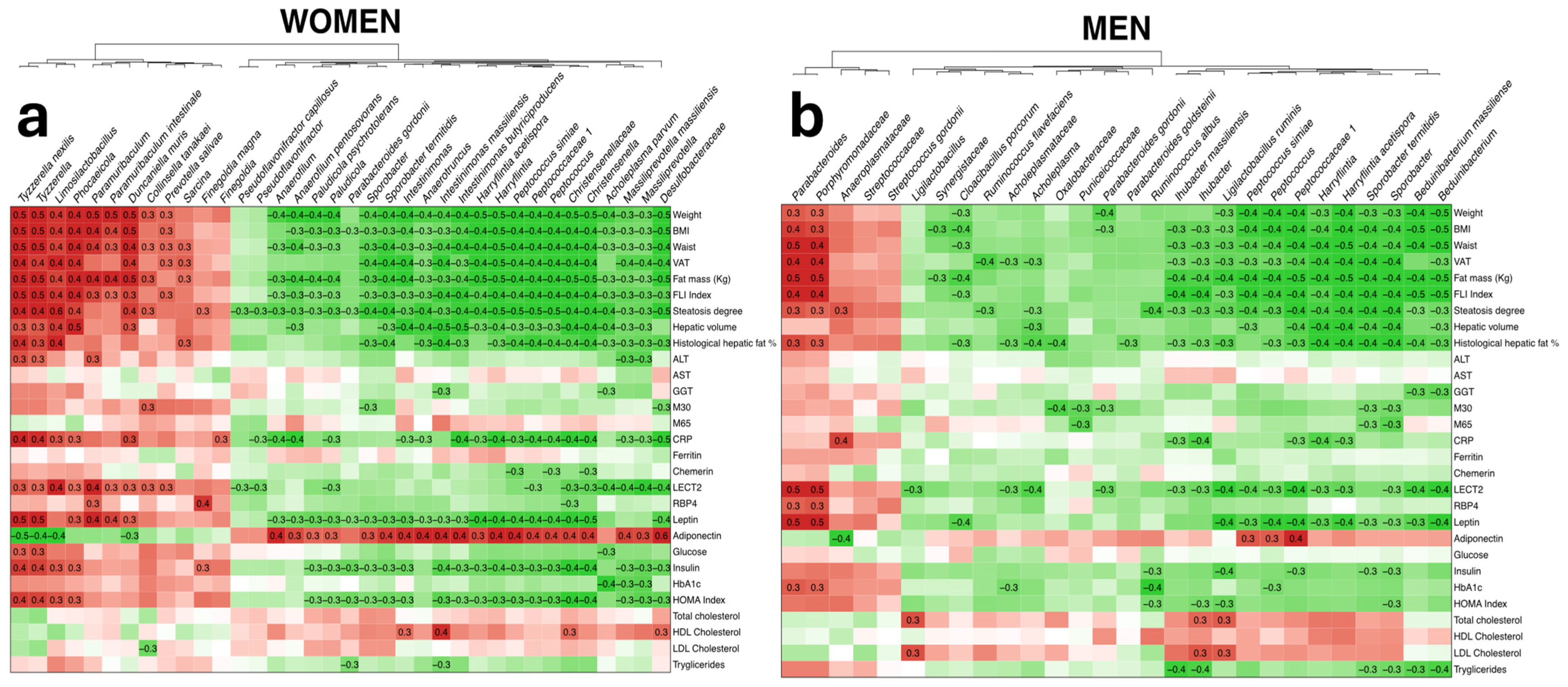 Nutrients 16 04198 g002