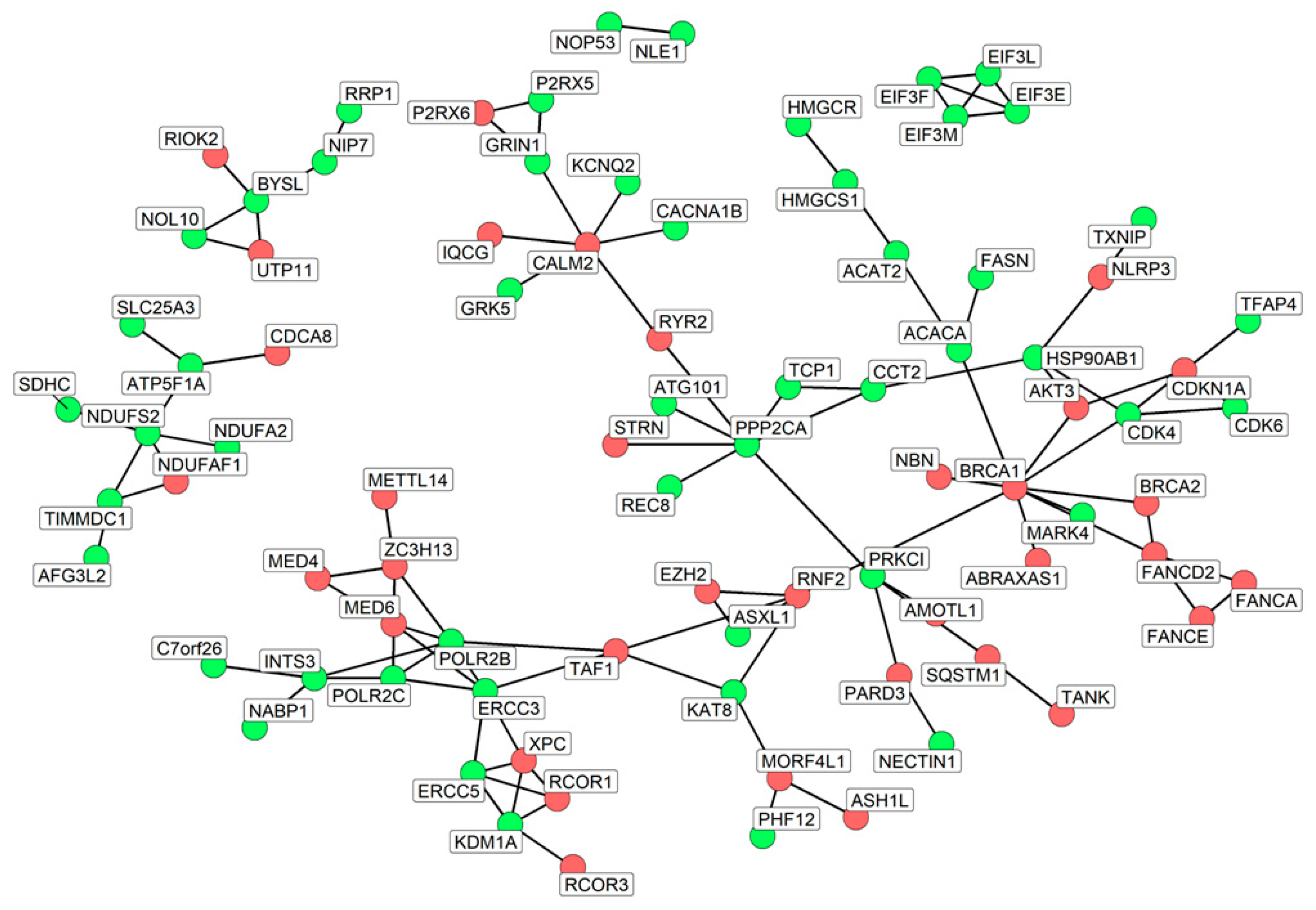 Nutrients 16 04202 g004 Nutrients 16 04202 g004