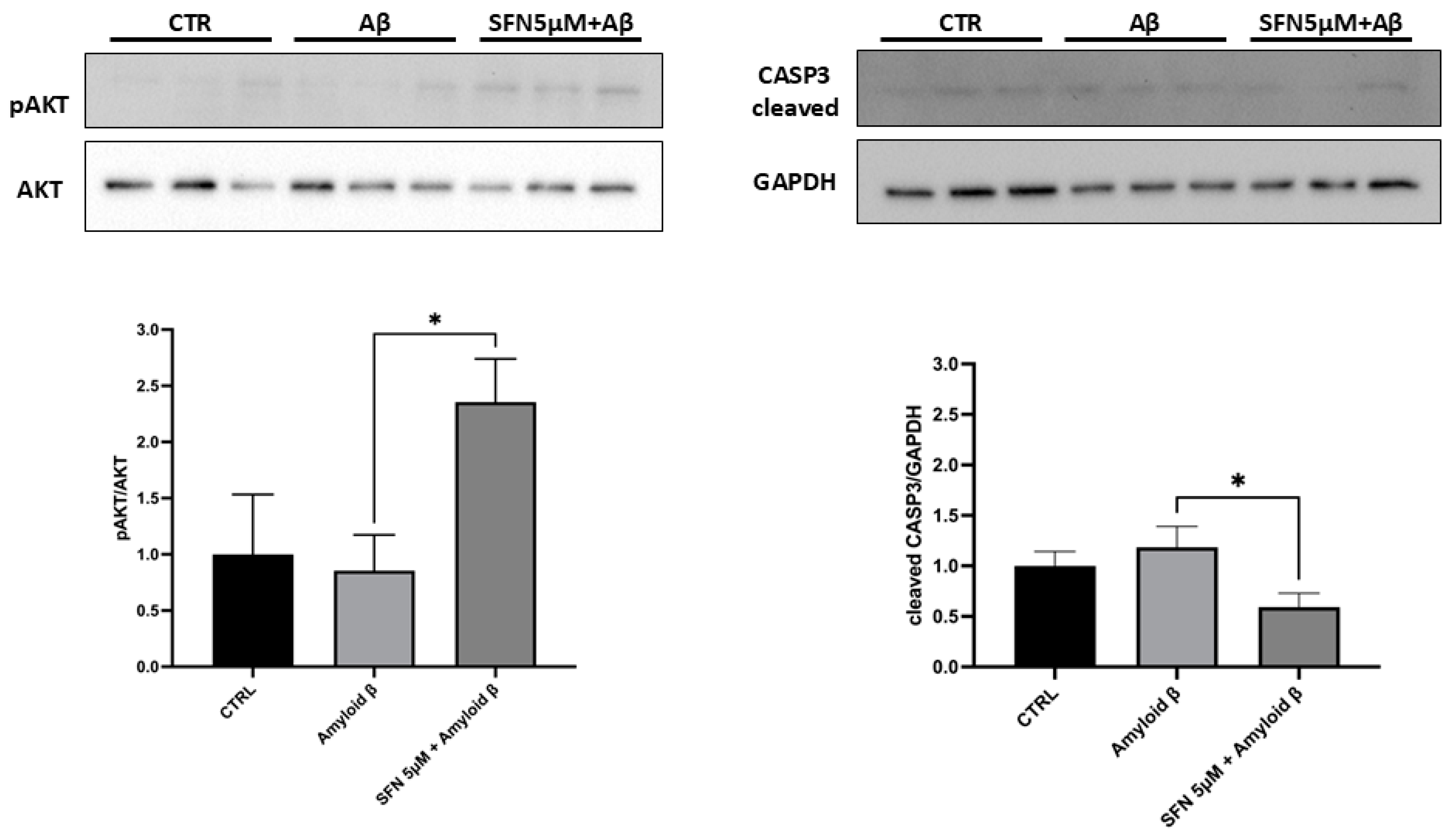 Nutrients 16 04202 g007 Nutrients 16 04202 g007